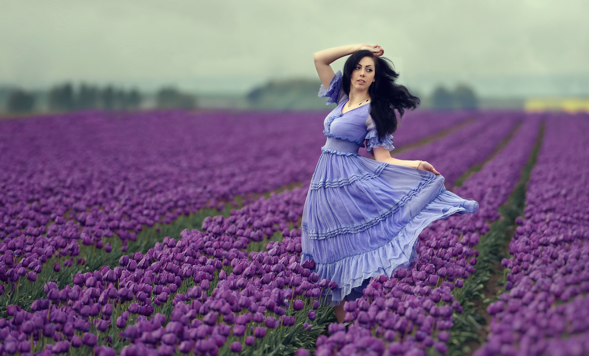 Download mobile wallpaper Summer, Flower, Field, Tulip, Model, Women, Purple Flower, Black Hair, Blue Dress, Depth Of Field for free.