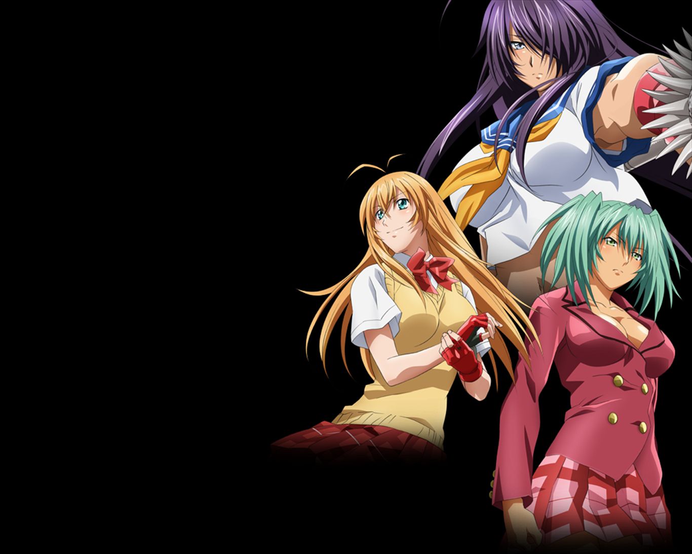 Free download wallpaper Anime, Ikki Tousen on your PC desktop