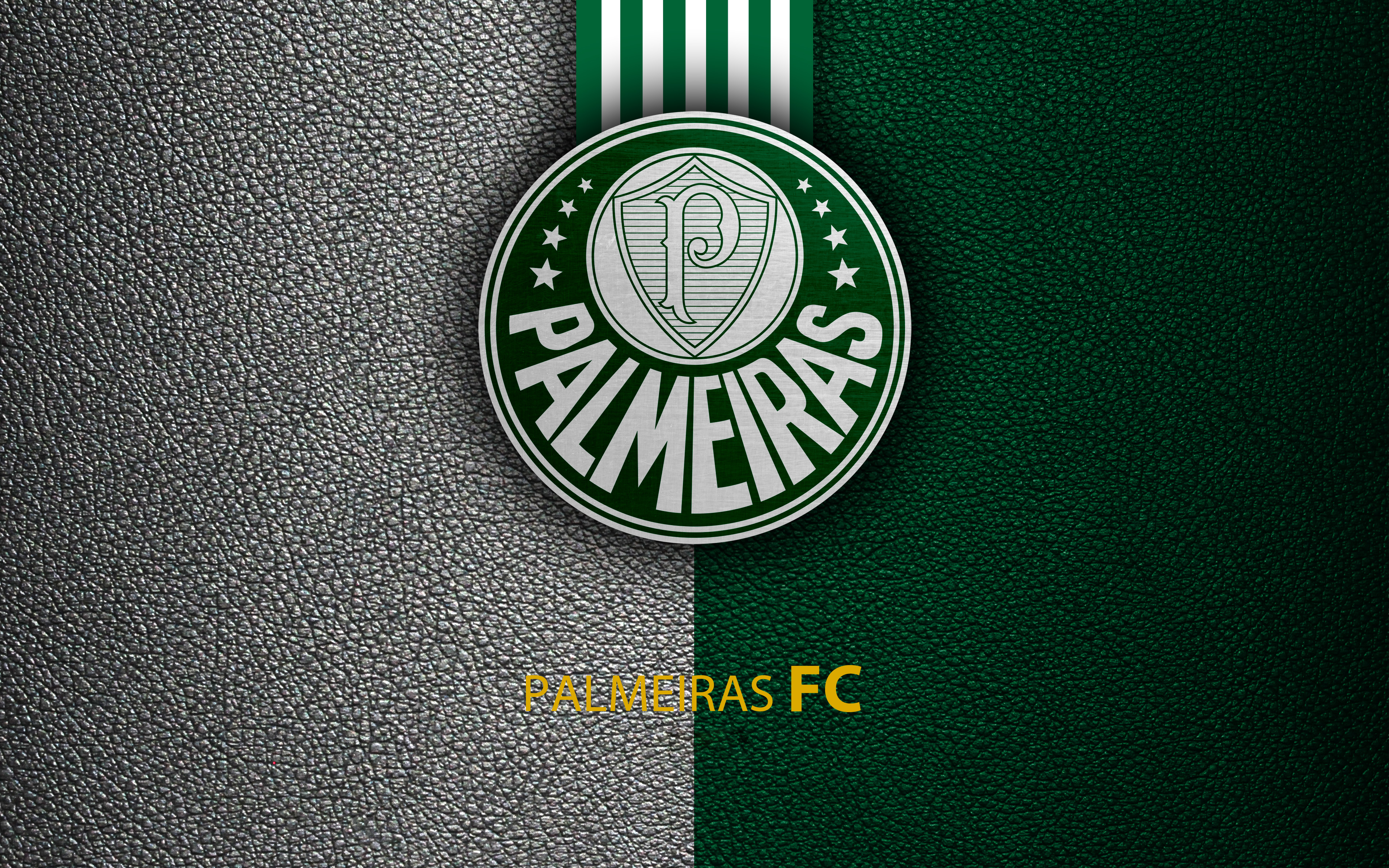 無料モバイル壁紙スポーツ, サッカー, ロゴ, ソシエダーデ エスポルティバ パルメイラスをダウンロードします。