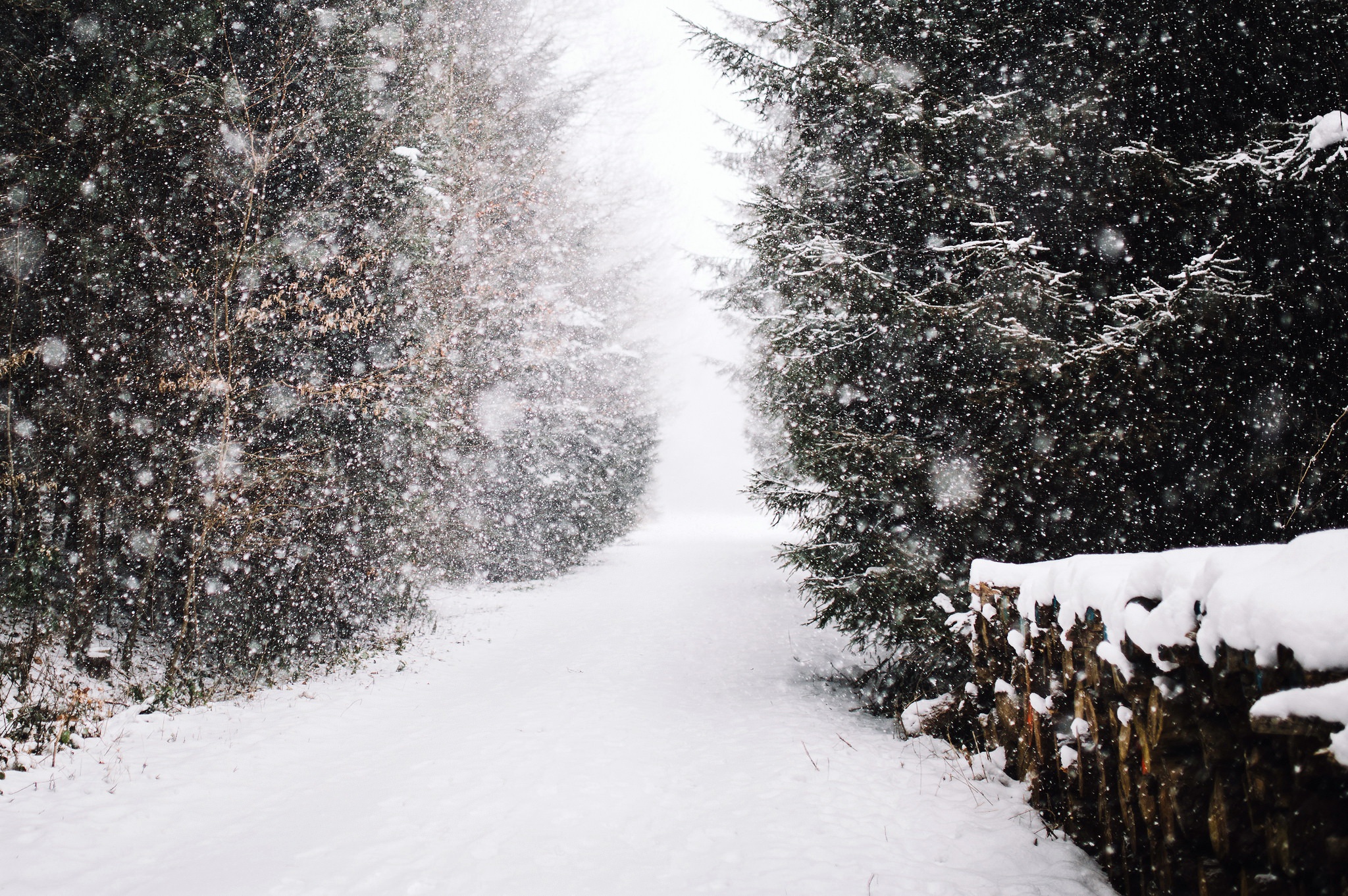 Download mobile wallpaper Winter, Nature, Snow, Forest, Earth, Path, Snowfall for free.