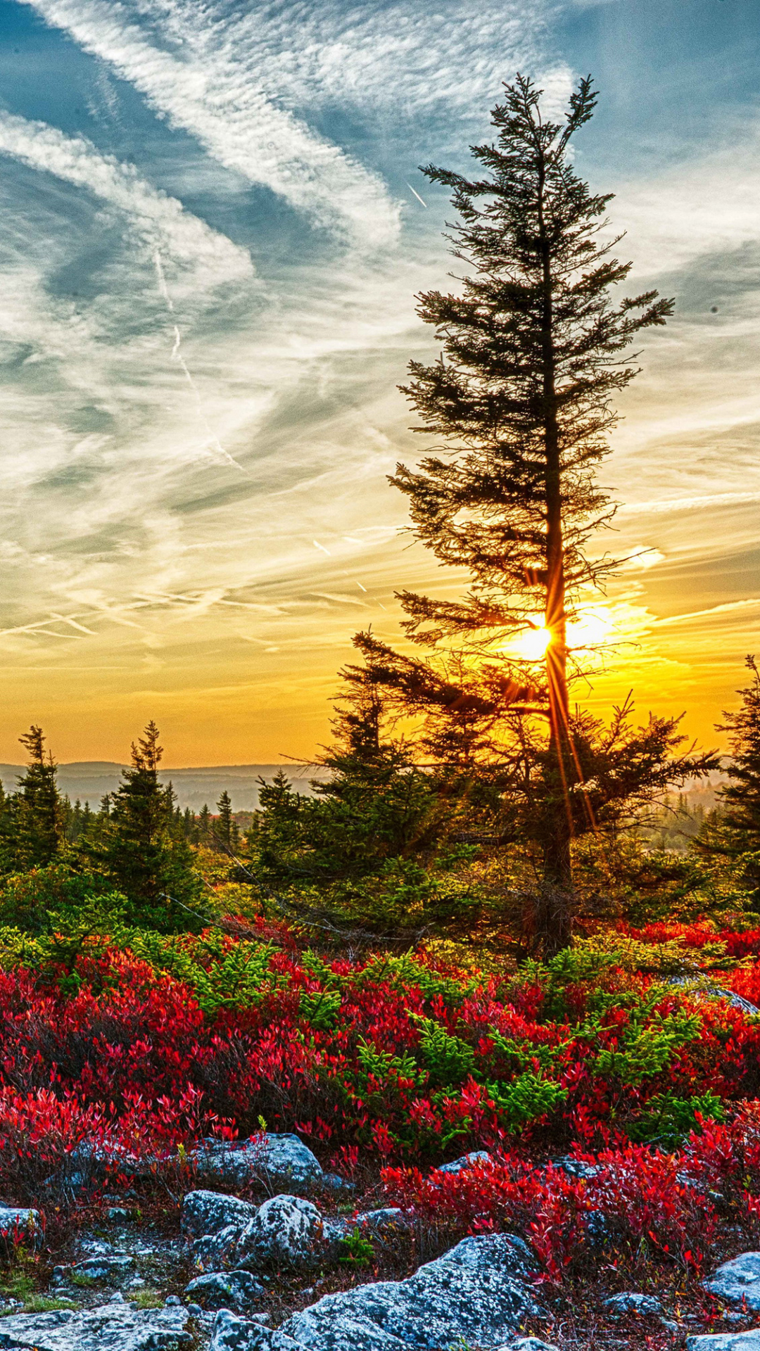 Handy-Wallpaper Landschaft, Herbst, See, Baum, Busch, Stein, Hdr, Erde/natur kostenlos herunterladen.