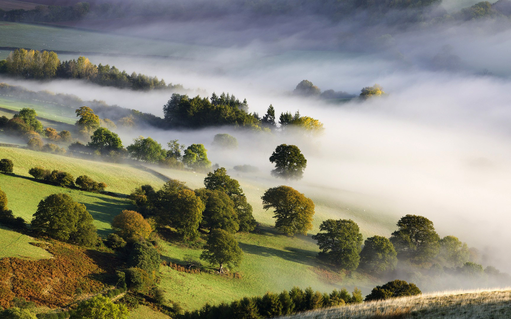 Descarga gratuita de fondo de pantalla para móvil de Niebla, Tierra/naturaleza.