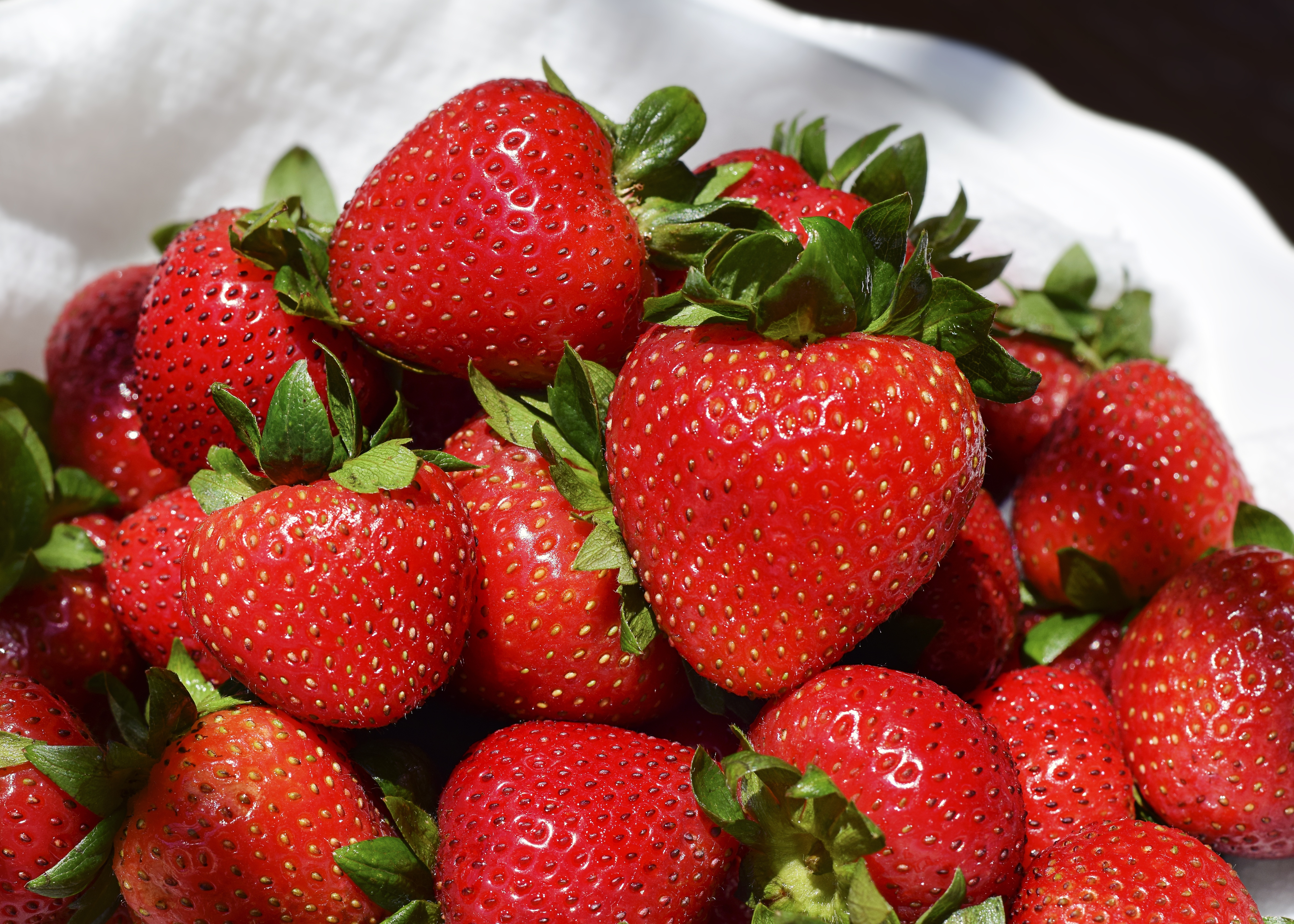 strawberry, food, berries, ripe, juicy cellphone