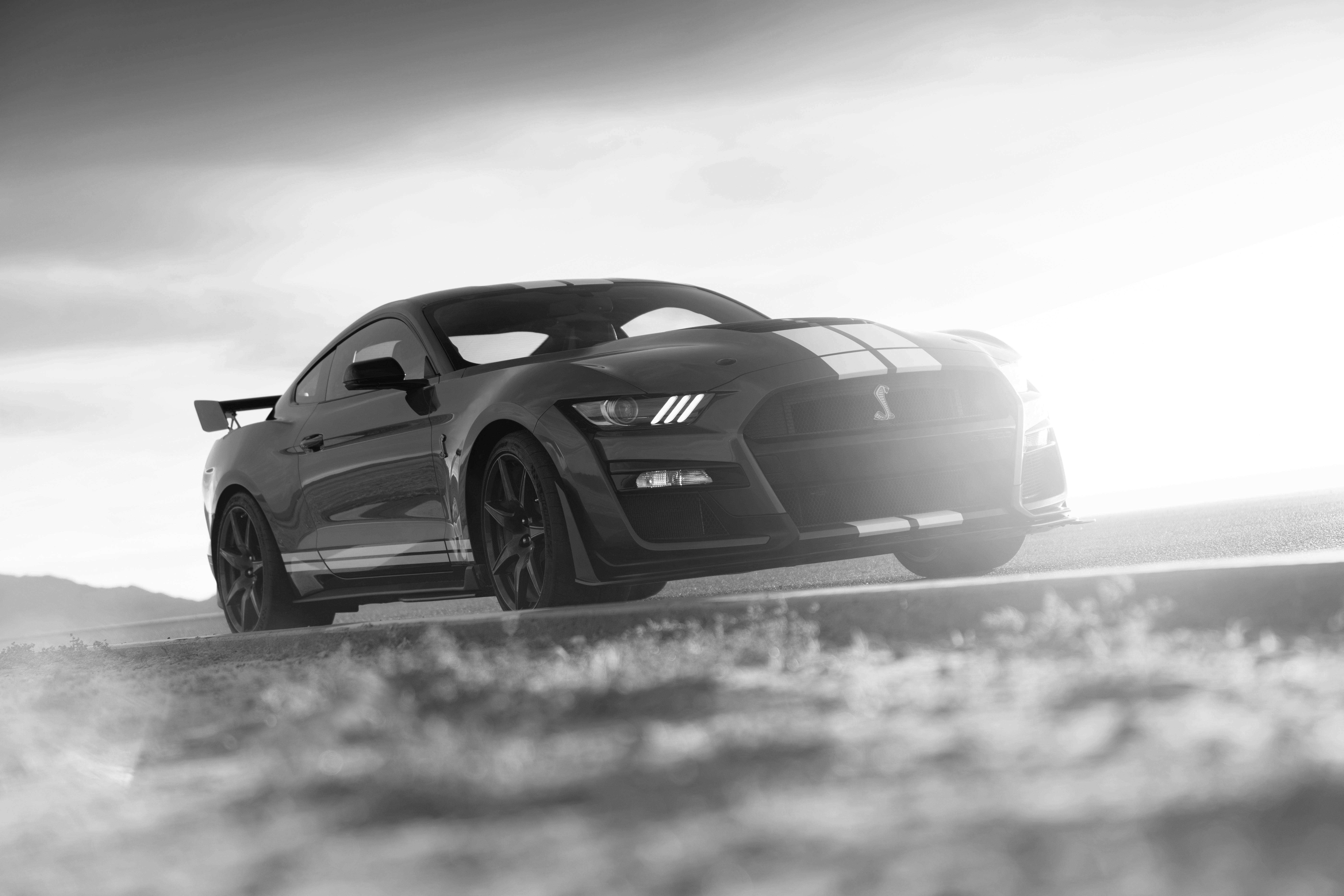 Download mobile wallpaper Ford, Car, Muscle Car, Ford Mustang Shelby Gt500, Vehicles, Black & White, Ford Mustang Shelby for free.