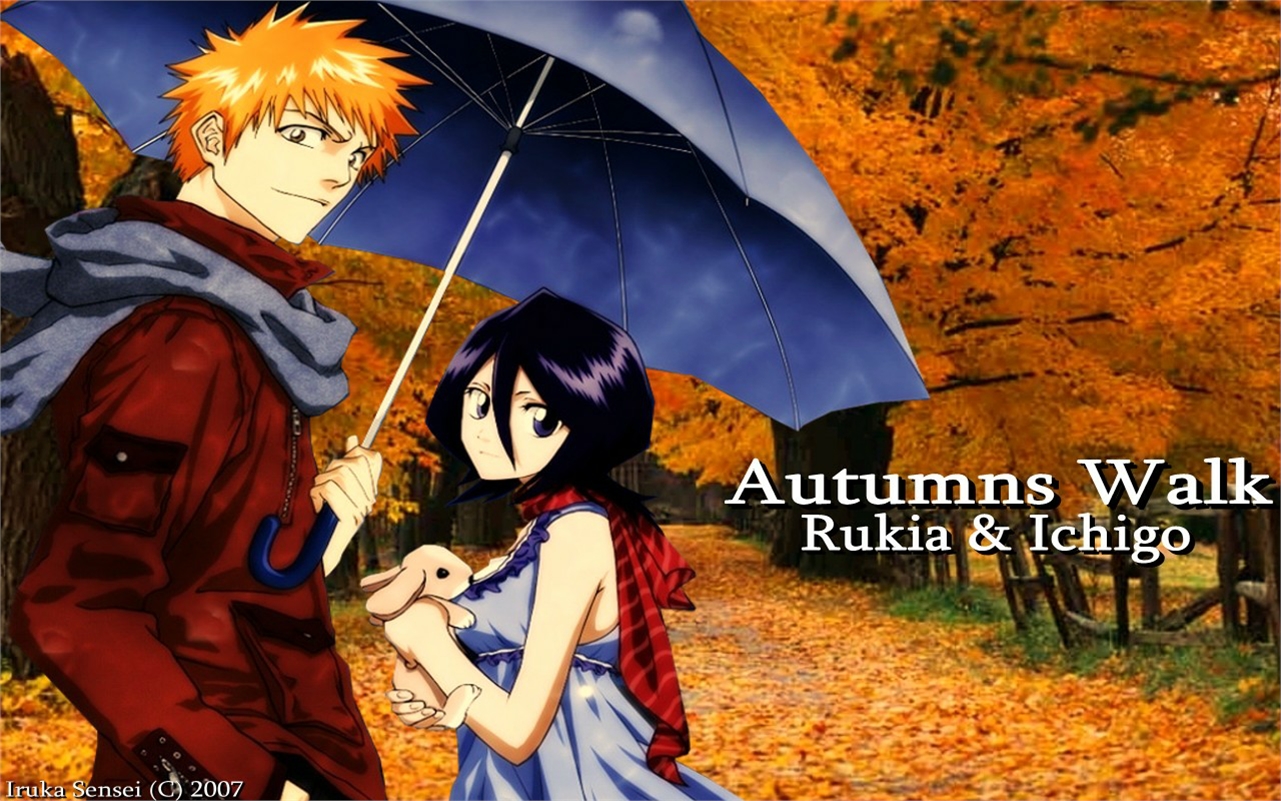 Free download wallpaper Anime, Bleach, Rukia Kuchiki, Ichigo Kurosaki on your PC desktop