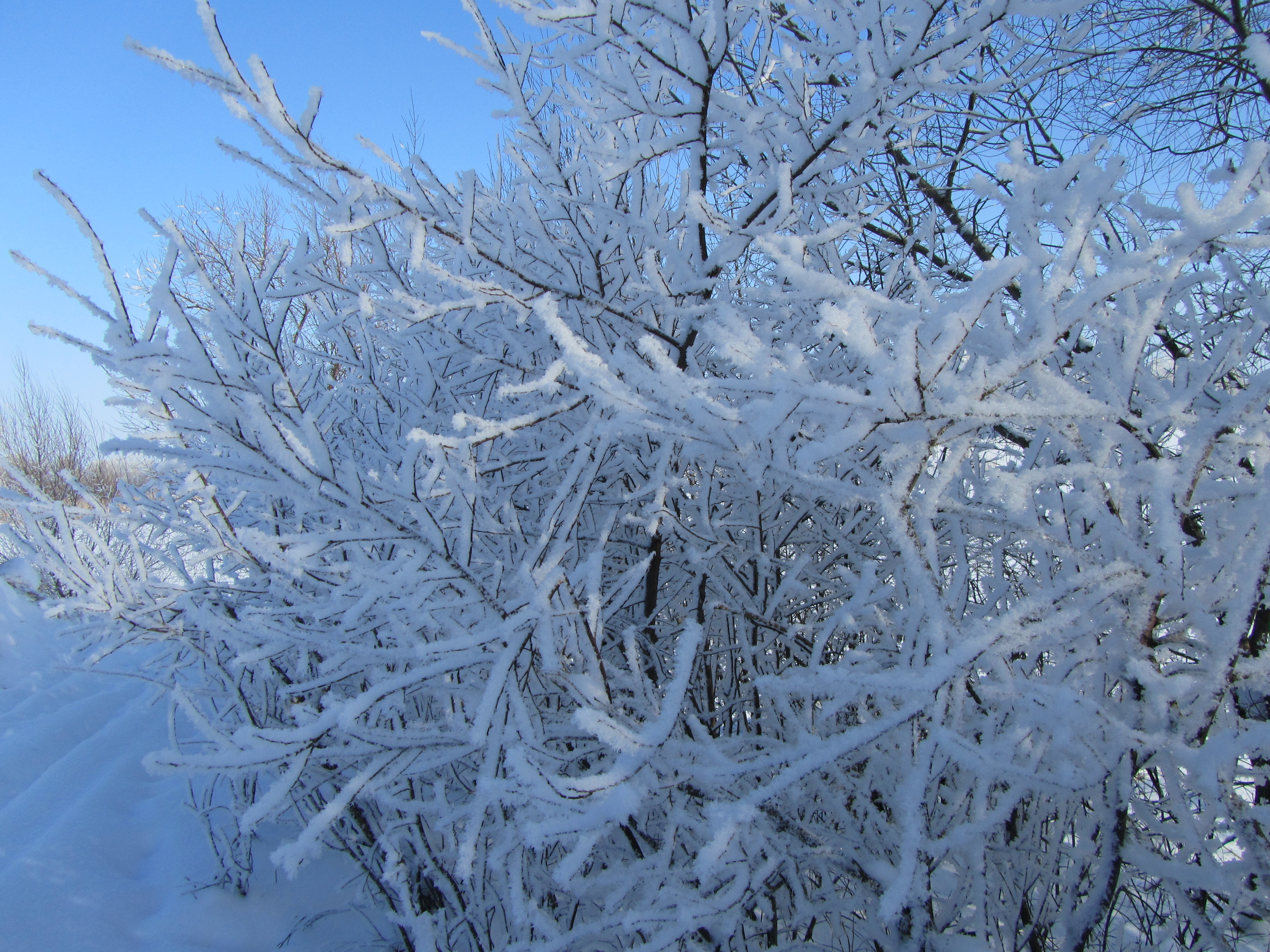 Baixe gratuitamente a imagem Inverno, Terra/natureza na área de trabalho do seu PC