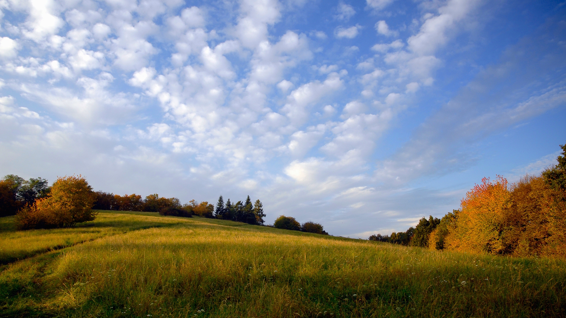 Free download wallpaper Landscape, Earth on your PC desktop