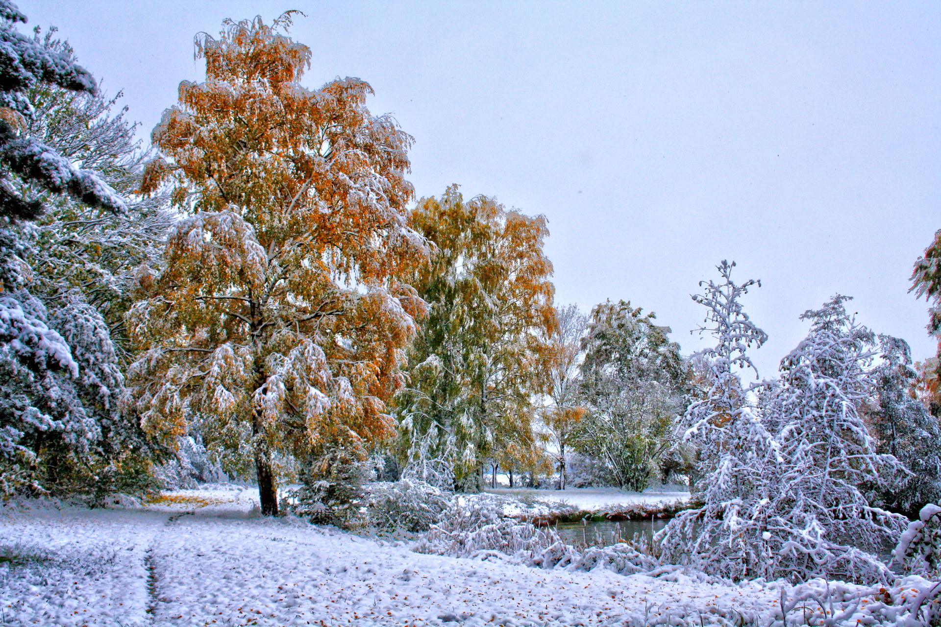 Téléchargez des papiers peints mobile Hiver, Terre/nature gratuitement.