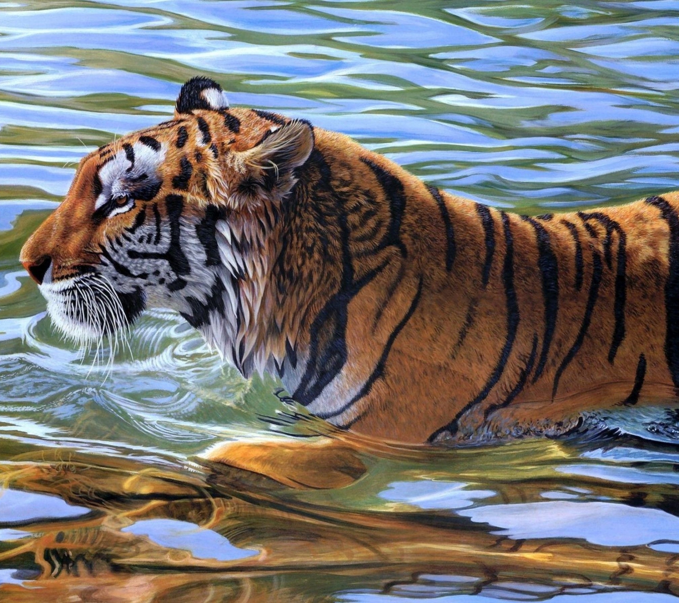 Free download wallpaper Cats, Tiger, Animal on your PC desktop