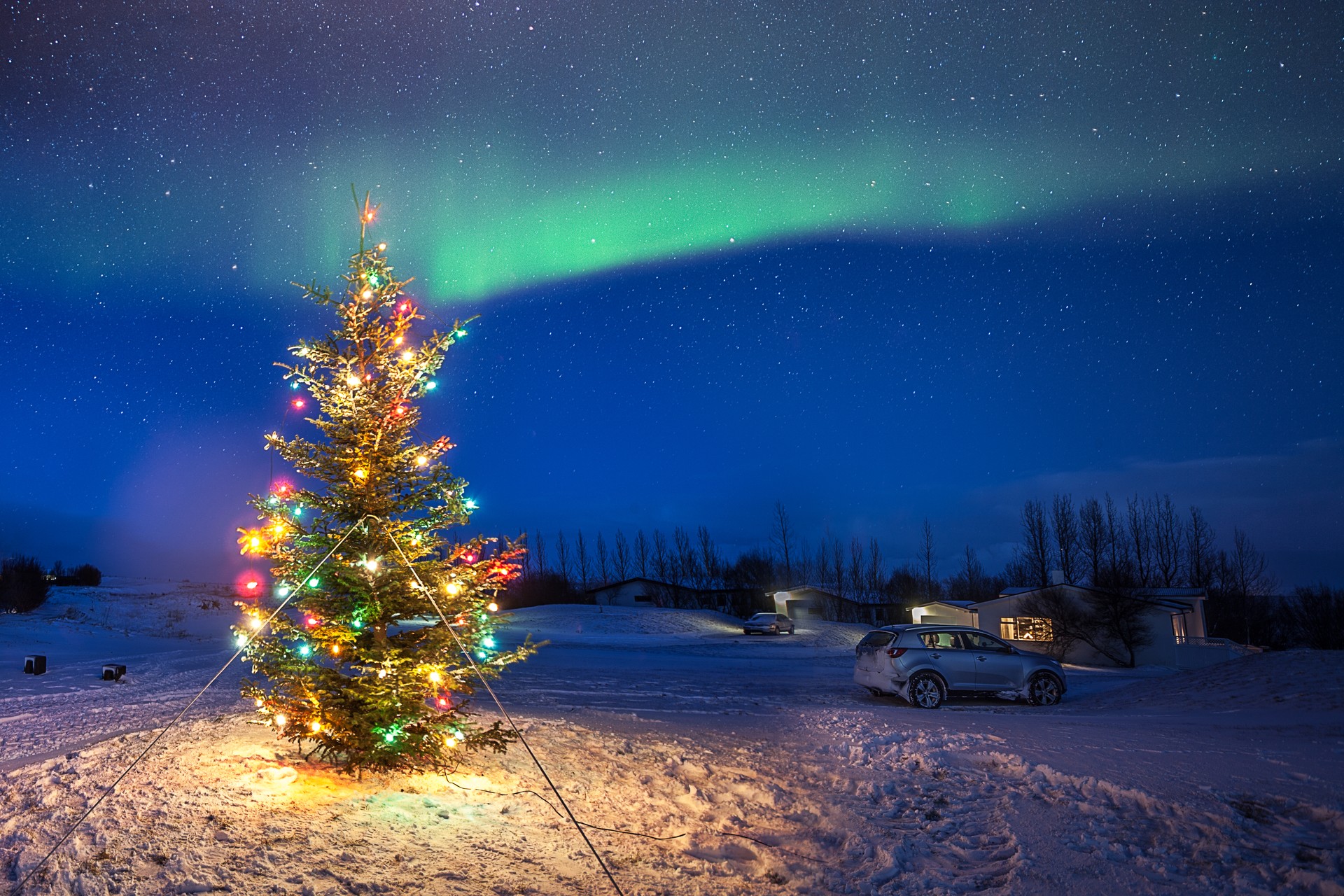 Download mobile wallpaper Winter, Night, Snow, Light, Christmas, Holiday, Christmas Tree for free.
