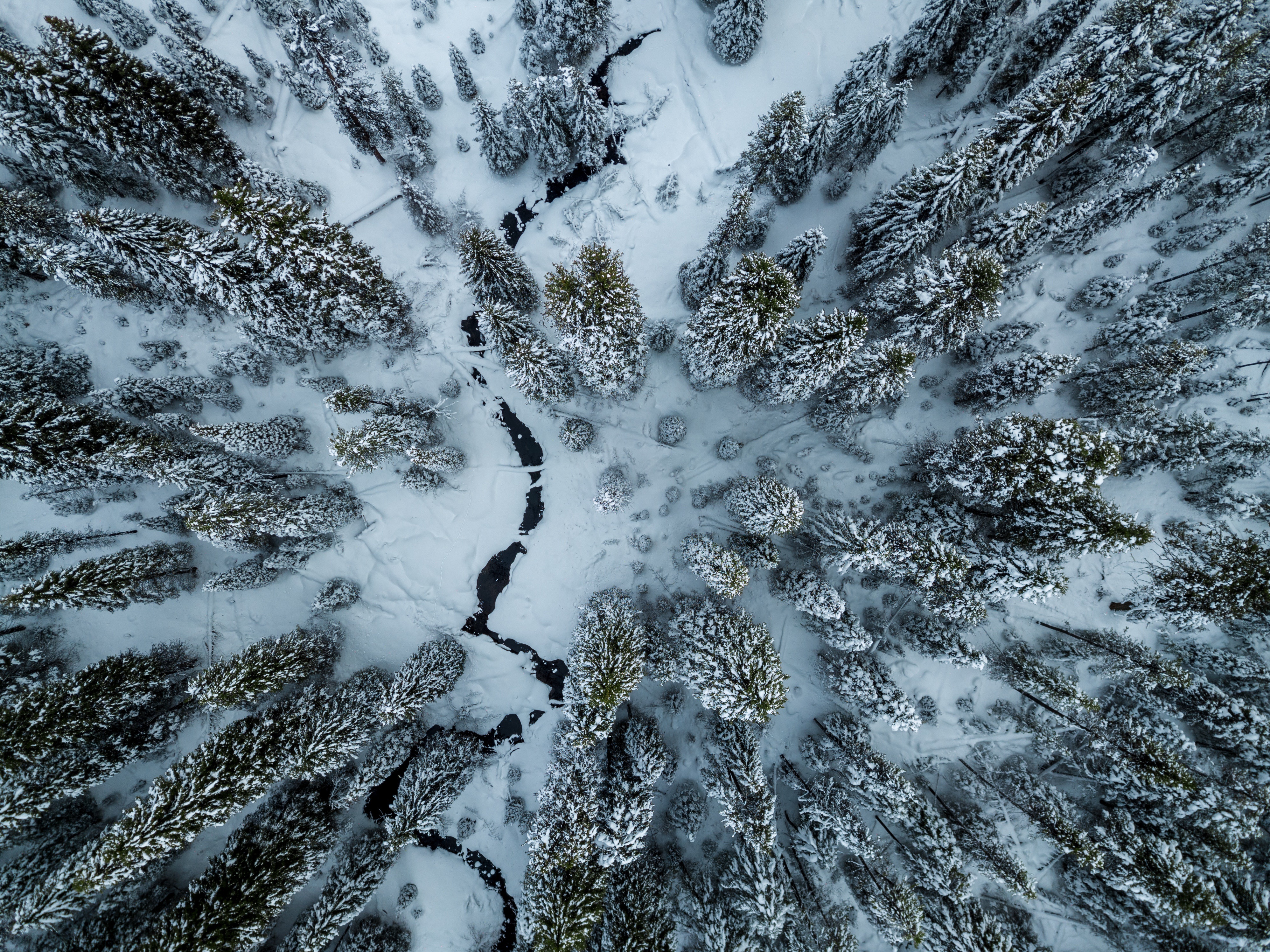 Baixe gratuitamente a imagem Inverno, Terra/natureza, Aéreo na área de trabalho do seu PC