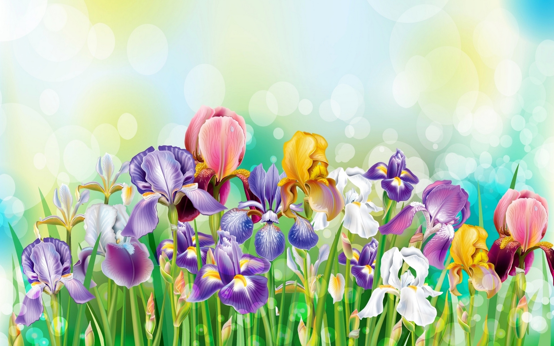 Free download wallpaper Flowers, Grass, Iris, Flower, Colors, Colorful, Spring, Artistic on your PC desktop