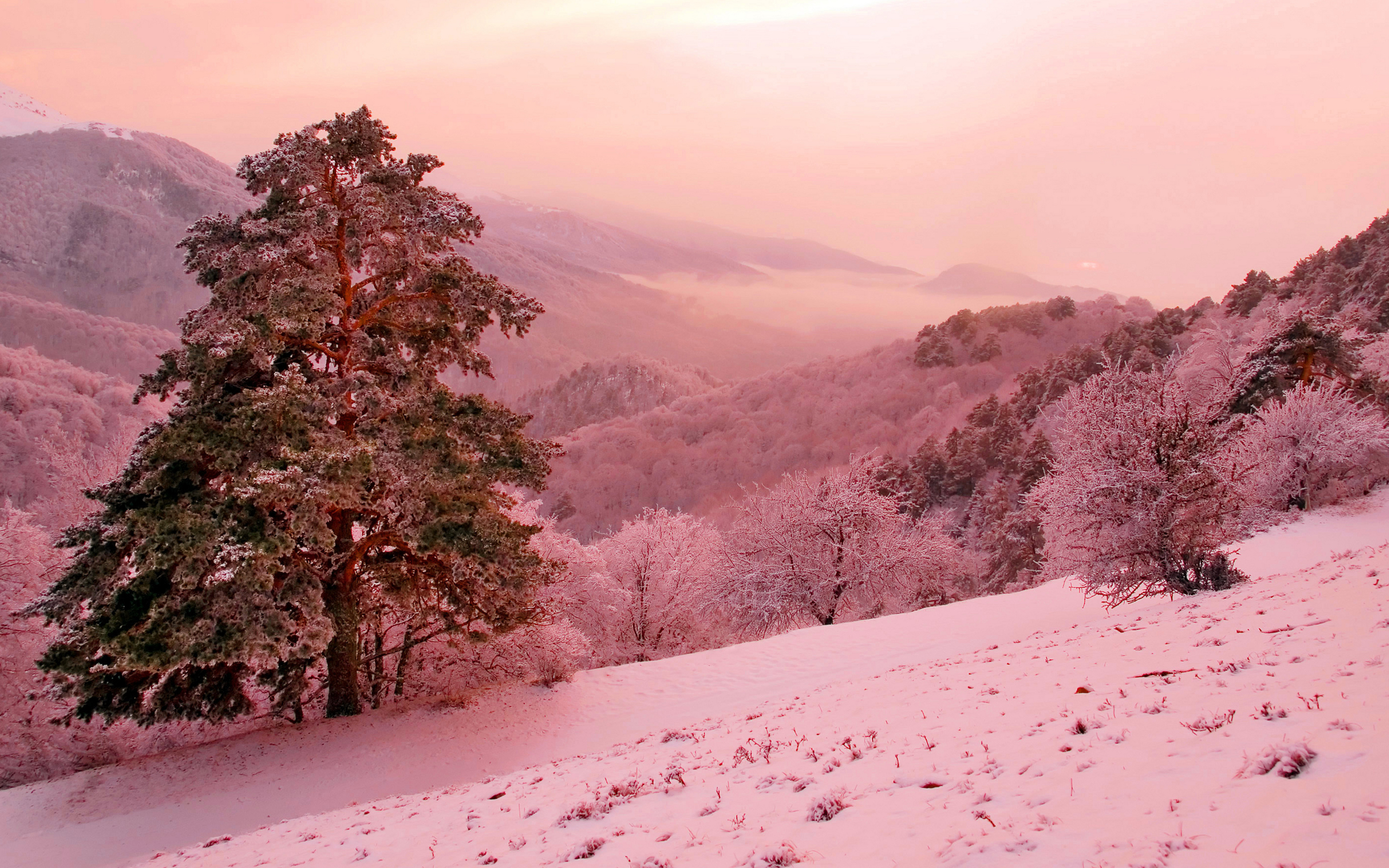 Baixe gratuitamente a imagem Inverno, Terra/natureza na área de trabalho do seu PC