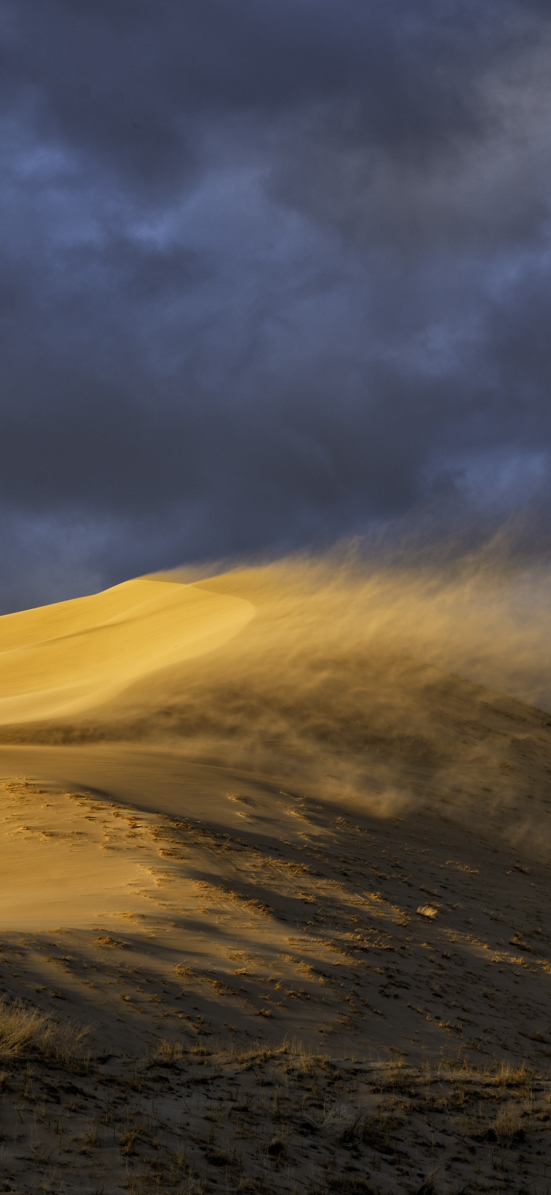 Скачать картинку Песок, Пустыня, Дюна, Ветер, Земля/природа в телефон бесплатно.