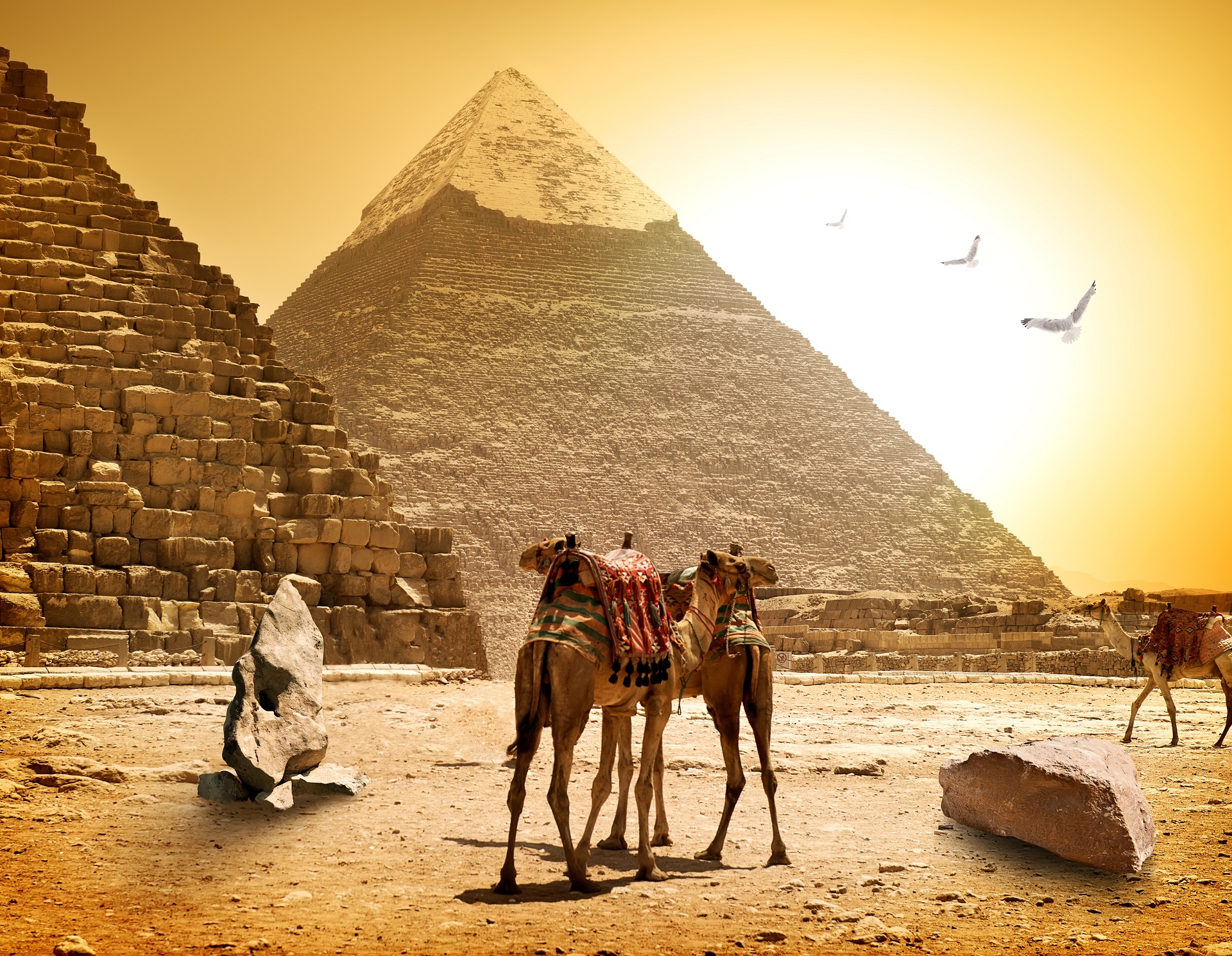 Скачать обои бесплатно Верблюды, Пирамида, Сделано Человеком, Египетский картинка на рабочий стол ПК