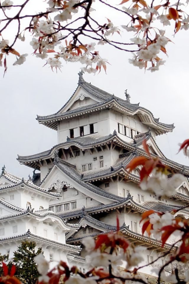 Download mobile wallpaper Castles, Sakura, Japan, Spring, Hyogo, Man Made, Sakura Blossom, Himeji Castle for free.