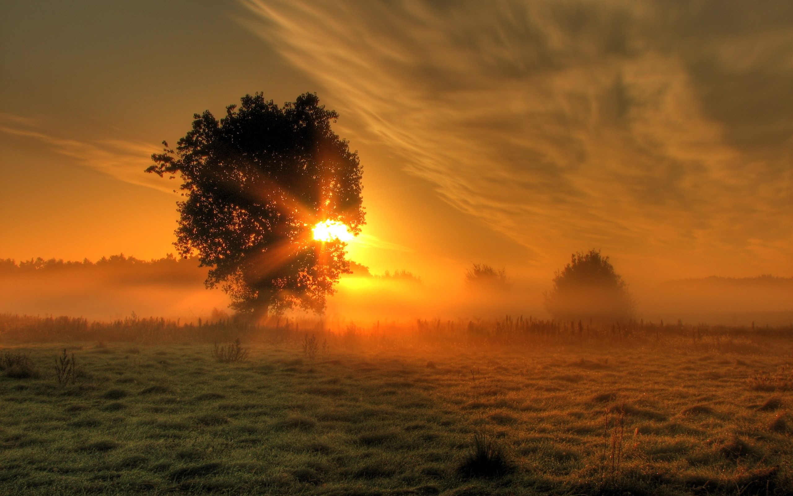 Download mobile wallpaper Sunrise, Earth for free.