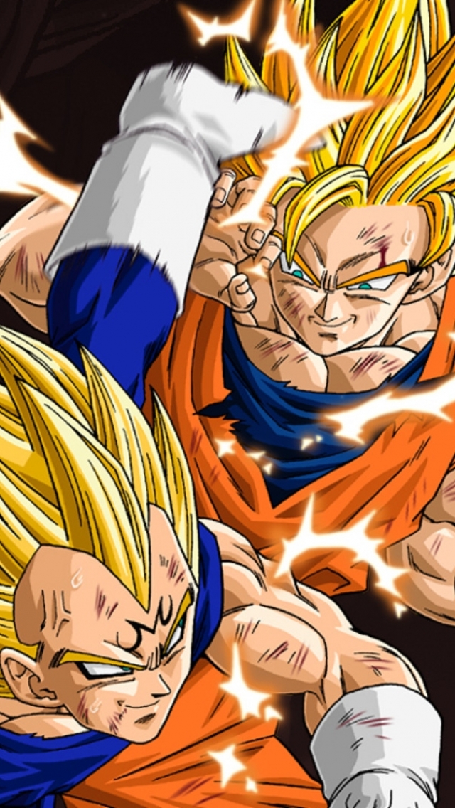 Descarga gratuita de fondo de pantalla para móvil de Dragon Ball Z, Esfera Del Dragón, Animado, Goku, Vegeta (Bola De Dragón).