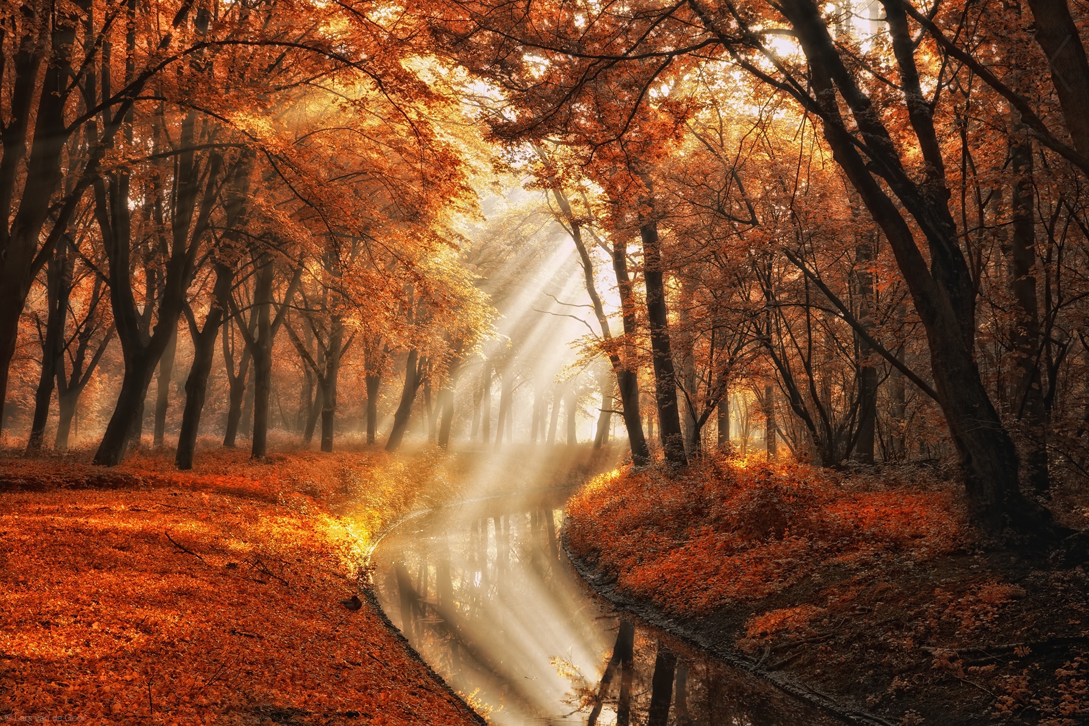 Free download wallpaper Forest, Tree, Fall, Earth, Stream, Sunlight, Sunbeam, Sunshine on your PC desktop