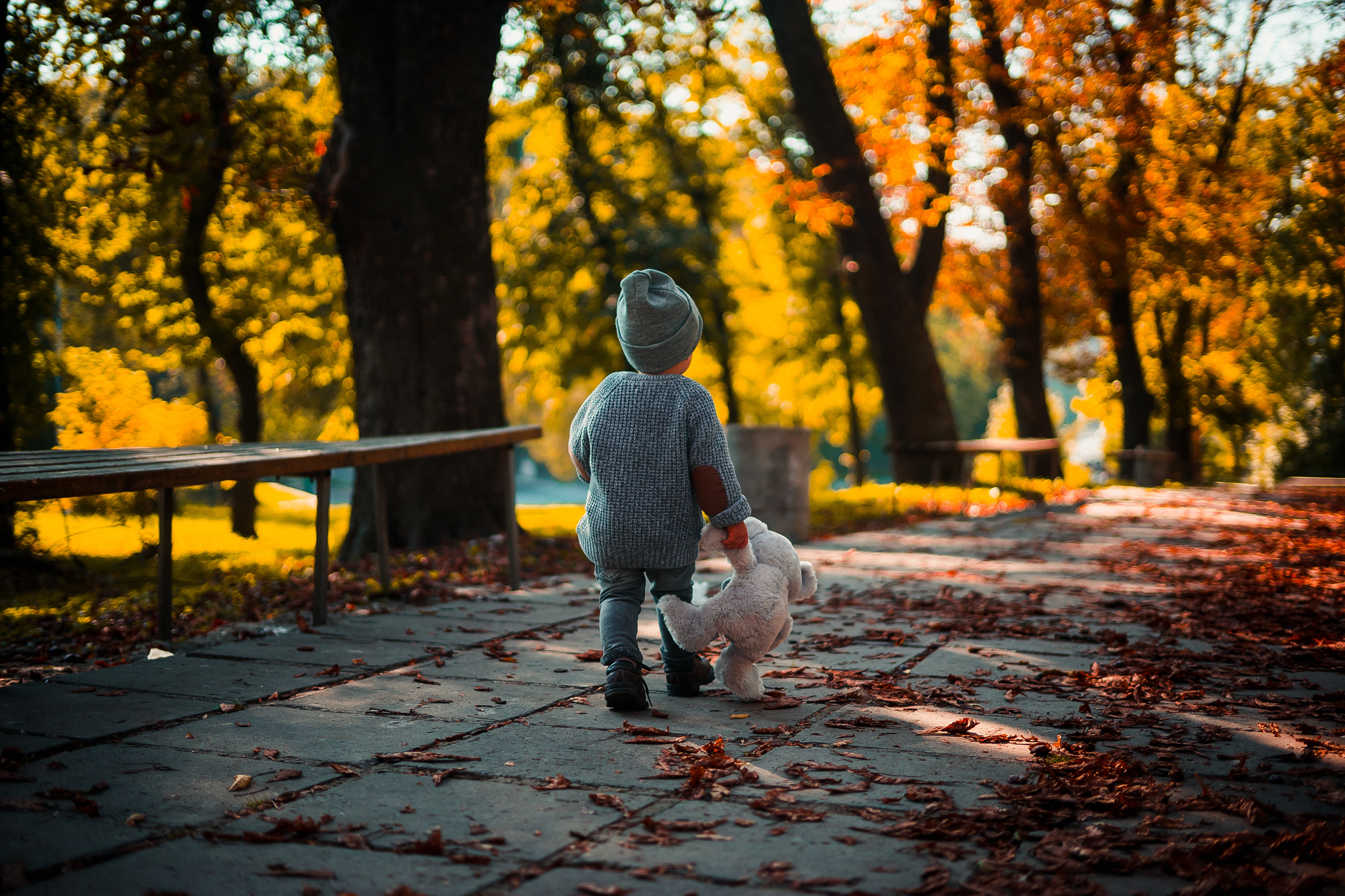 stroll, child, teddy bear, autumn, miscellanea, miscellaneous