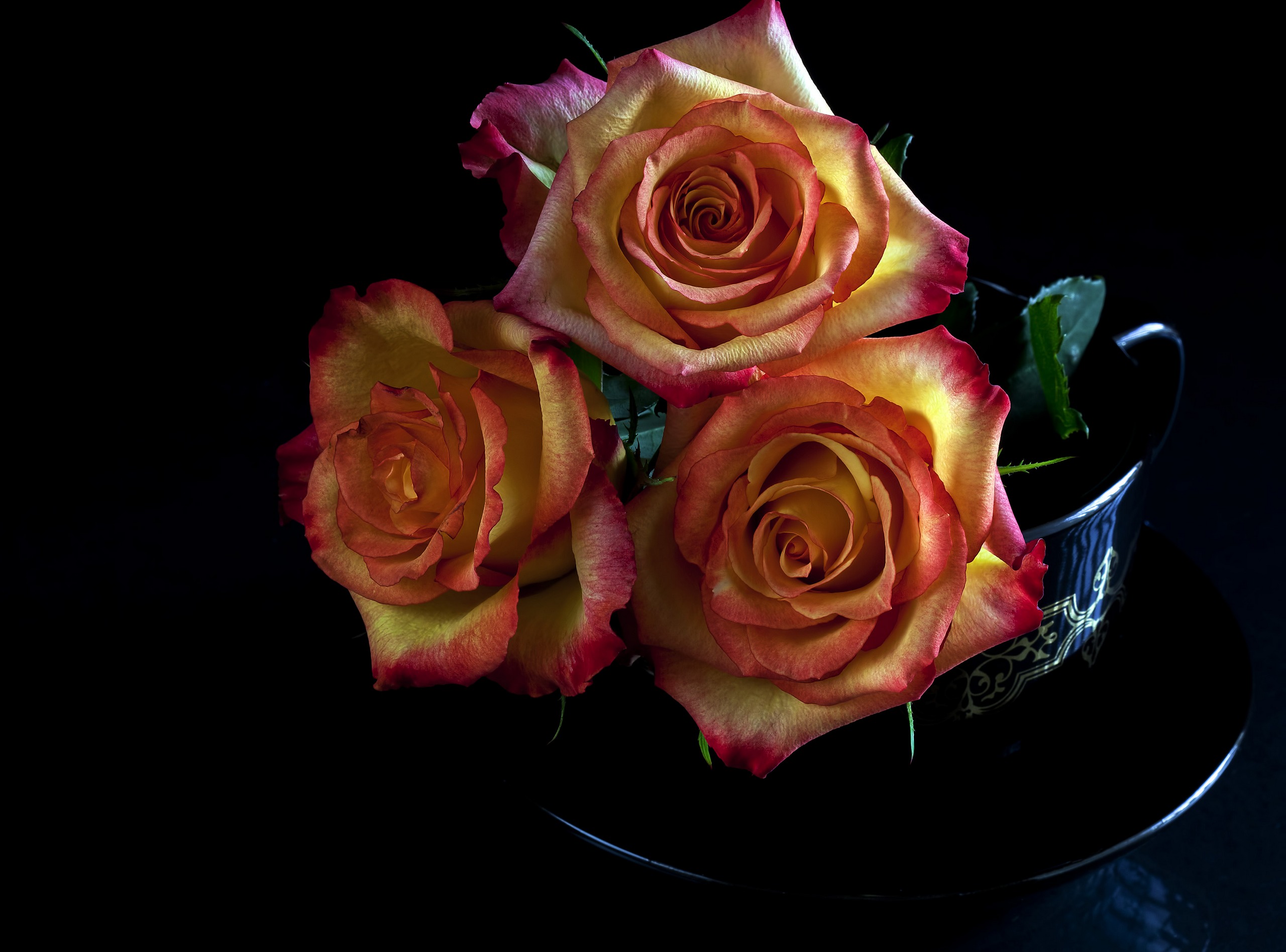 Завантажити шпалери безкоштовно Квітка, Роза, Створено Людиною картинка на робочий стіл ПК