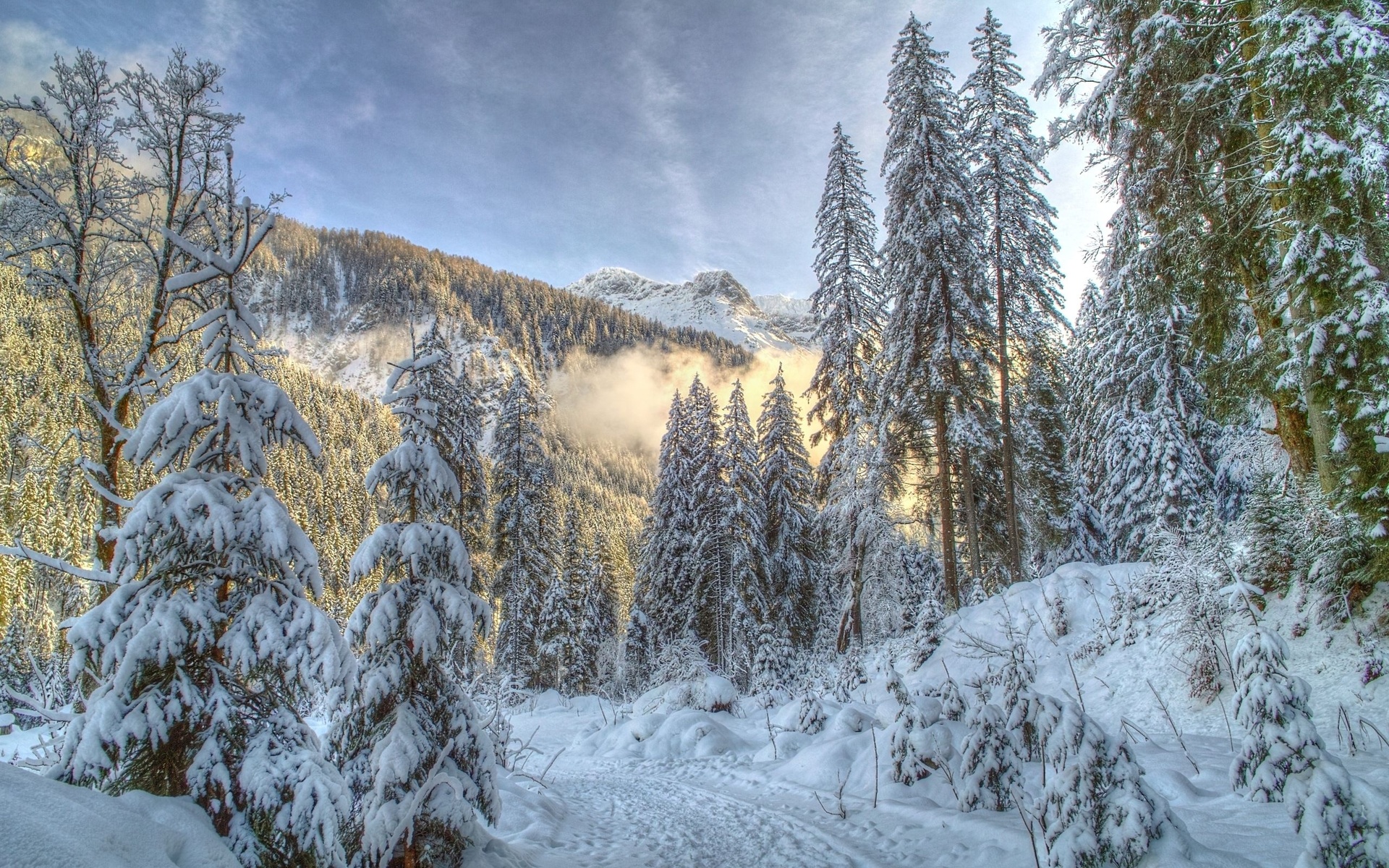 Descarga gratuita de fondo de pantalla para móvil de Invierno, Tierra/naturaleza.