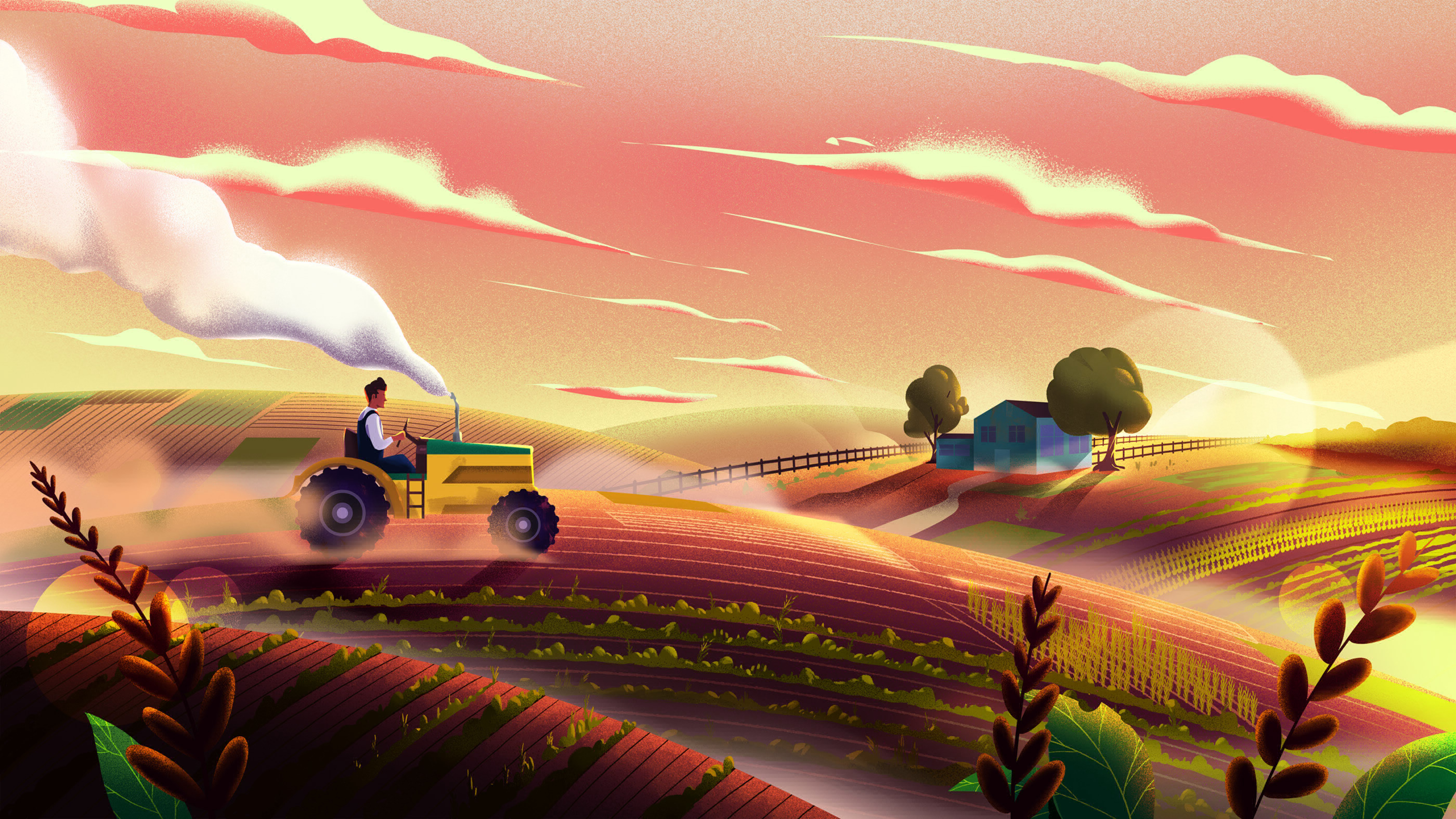 vector, agriculture, art, field, tractor
