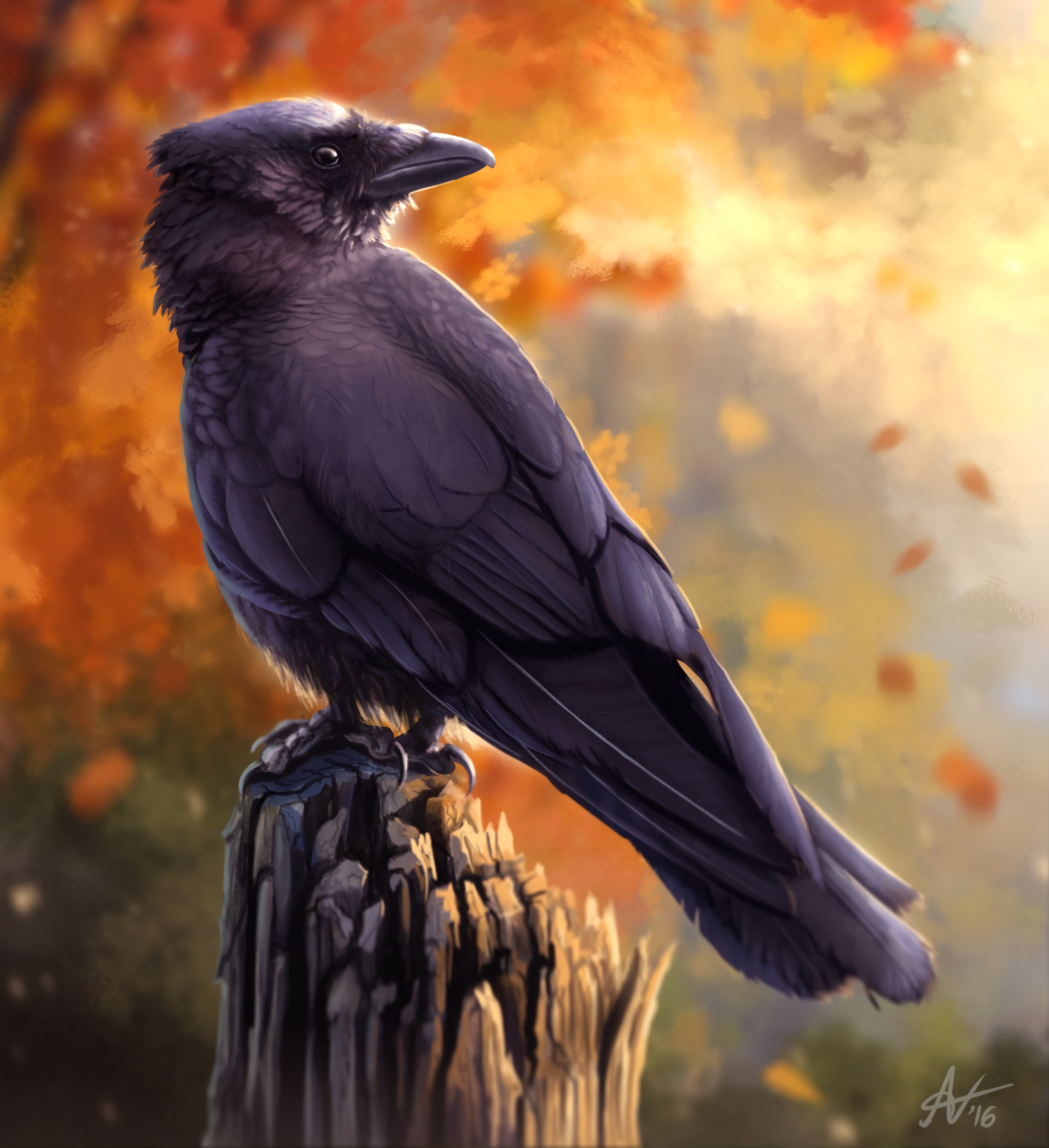 Download mobile wallpaper Bird, Autumn, Art, Raven for free.