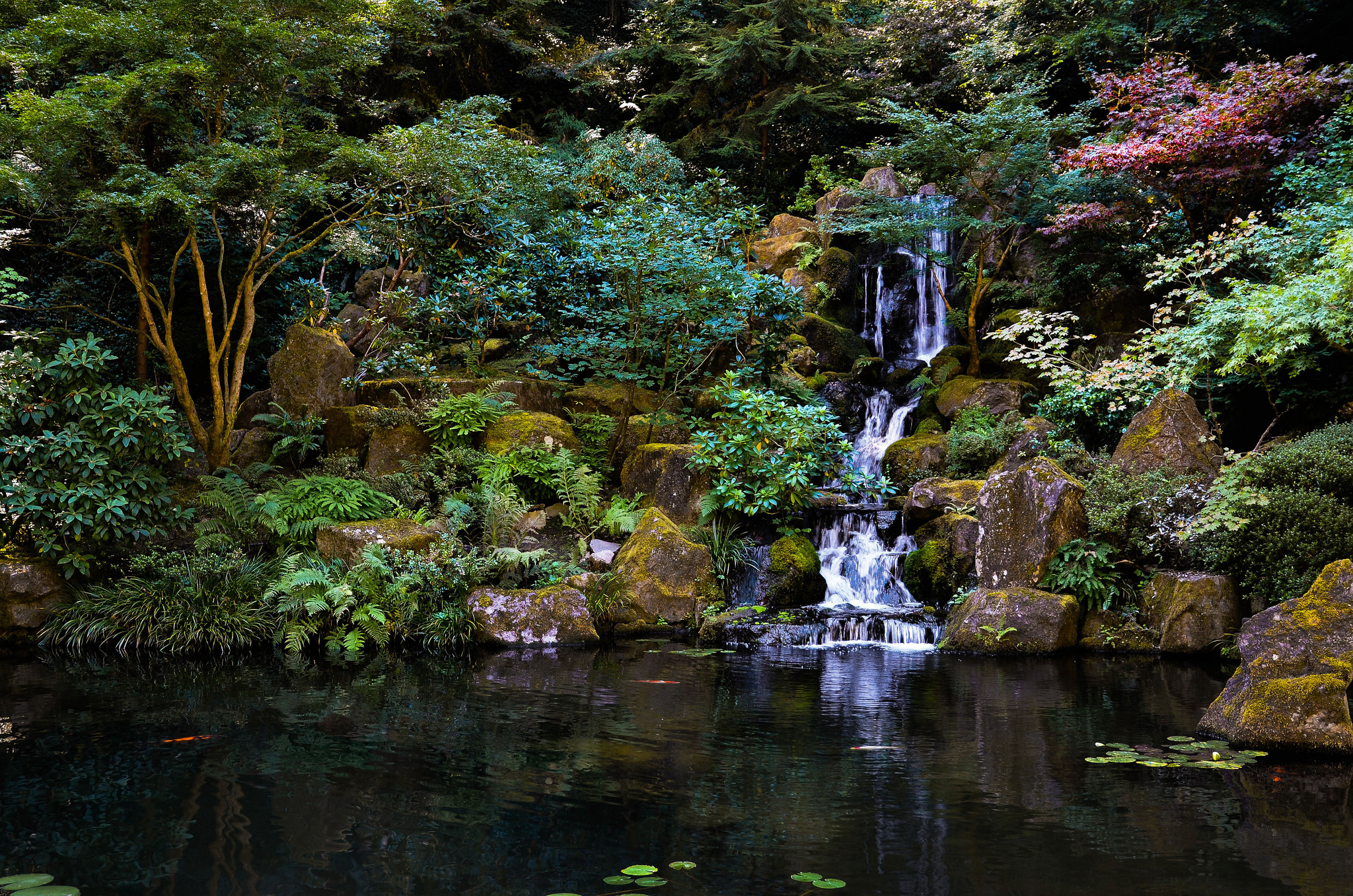 313054 baixar imagens terra/natureza, cachoeira, jardim japonês, natureza, parque, lago, cachoeiras - papéis de parede e protetores de tela gratuitamente