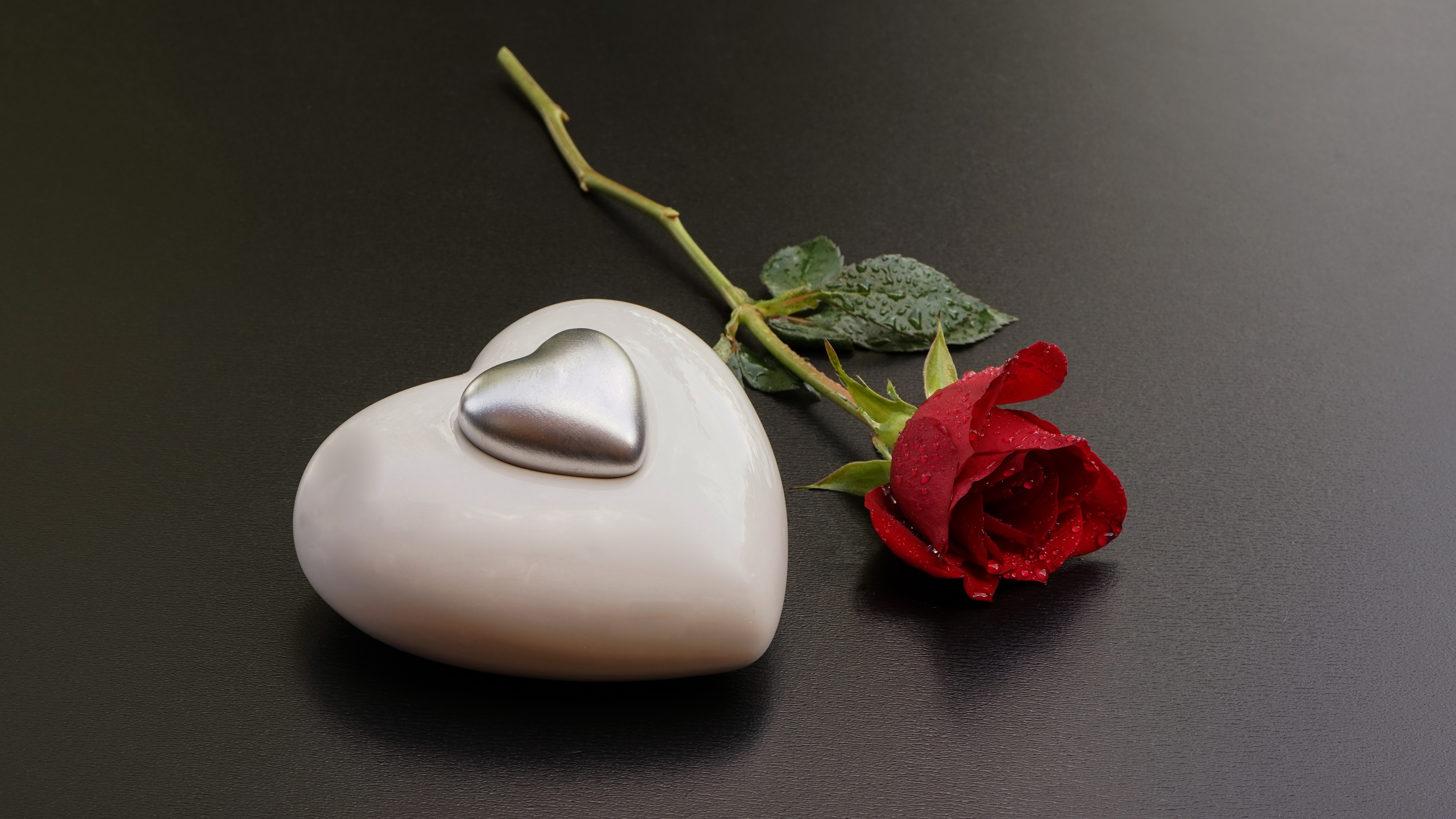 Laden Sie das Blume, Rose, Fotografie, Rote Rose, Stillleben, Herzförmig-Bild kostenlos auf Ihren PC-Desktop herunter