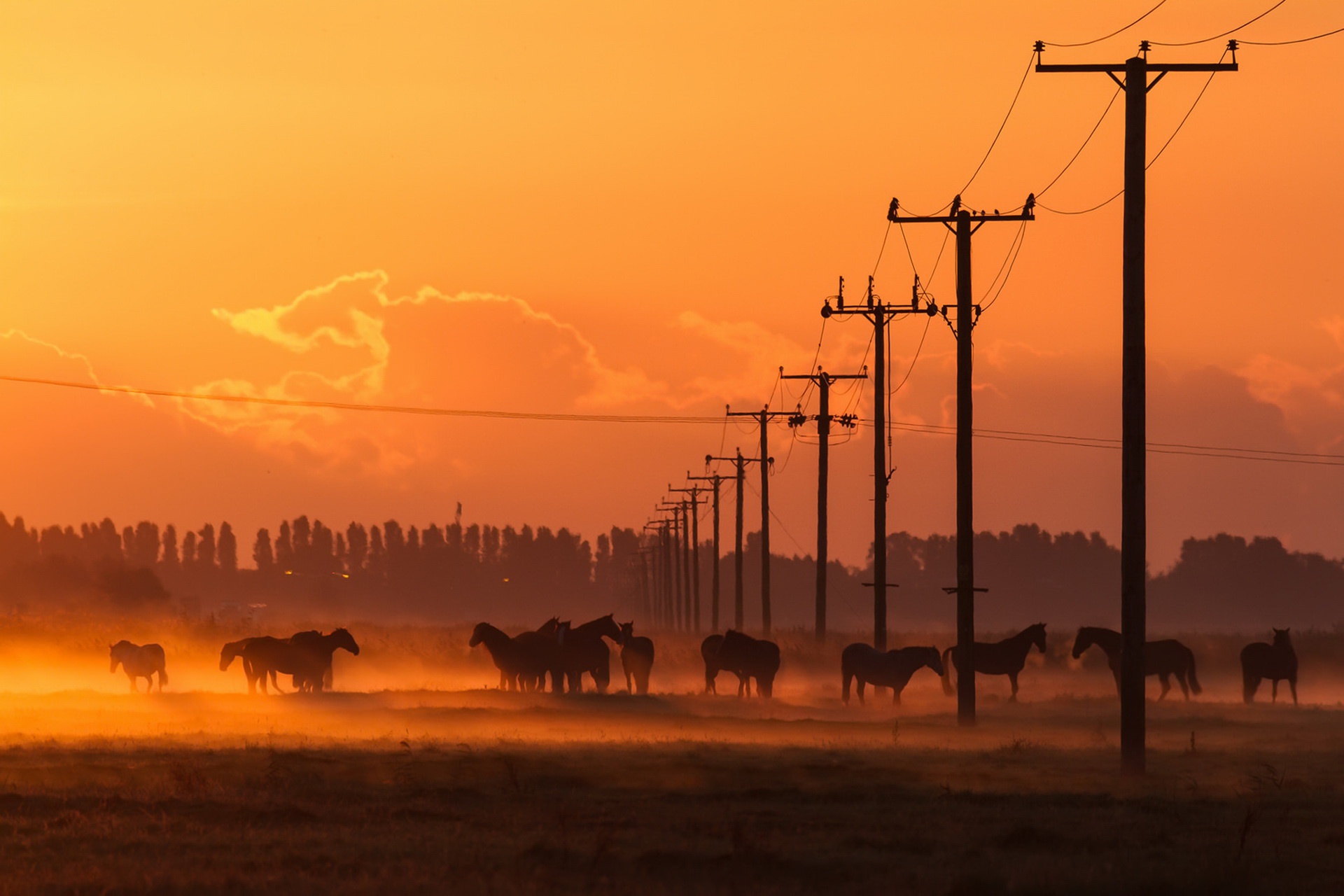 Free download wallpaper Sunset, Fog, Animal, Horse, Power Line on your PC desktop