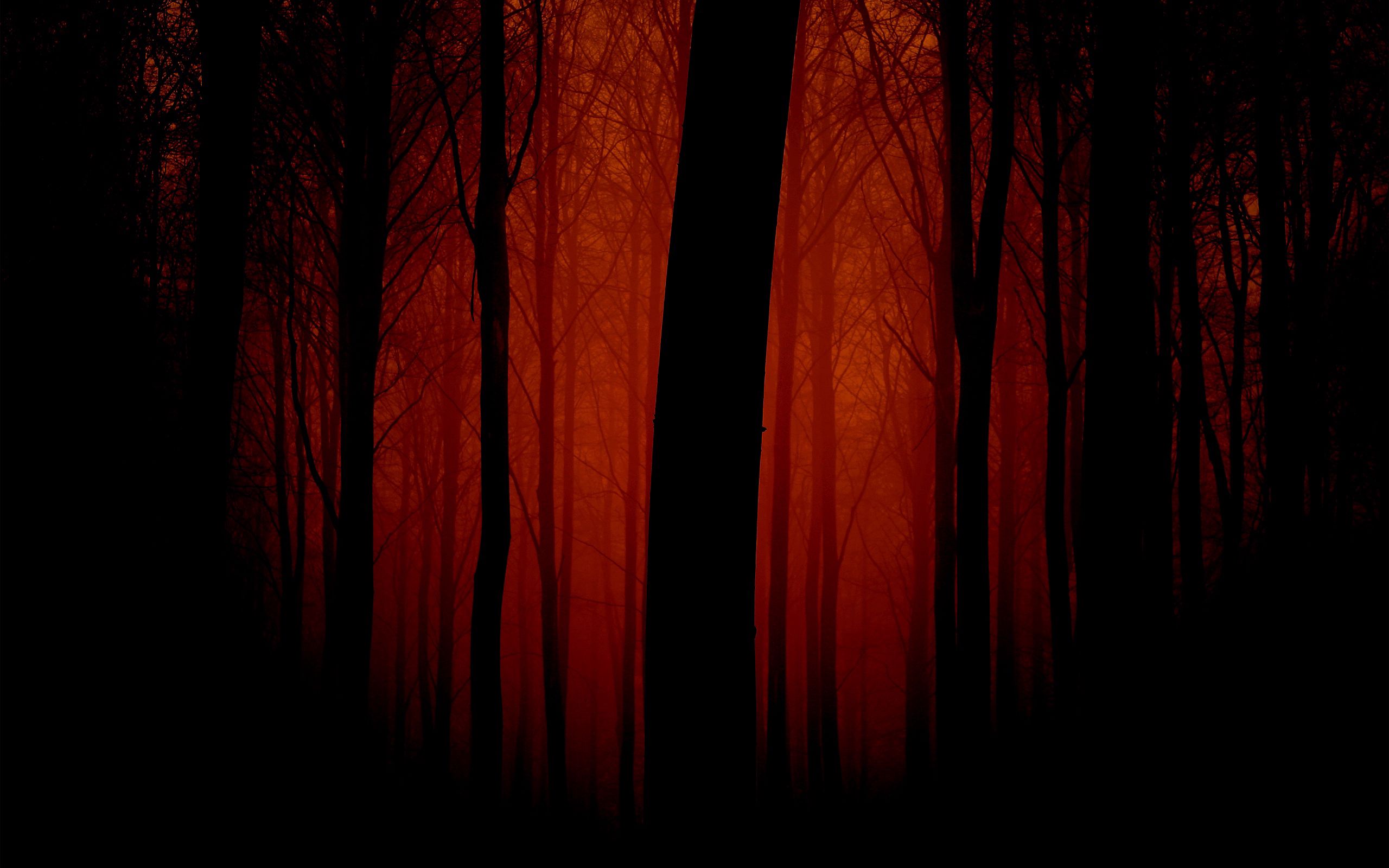 Скачать обои бесплатно Красный, Туман, Очертания, Вечер, Деревья, Свет, Темные картинка на рабочий стол ПК