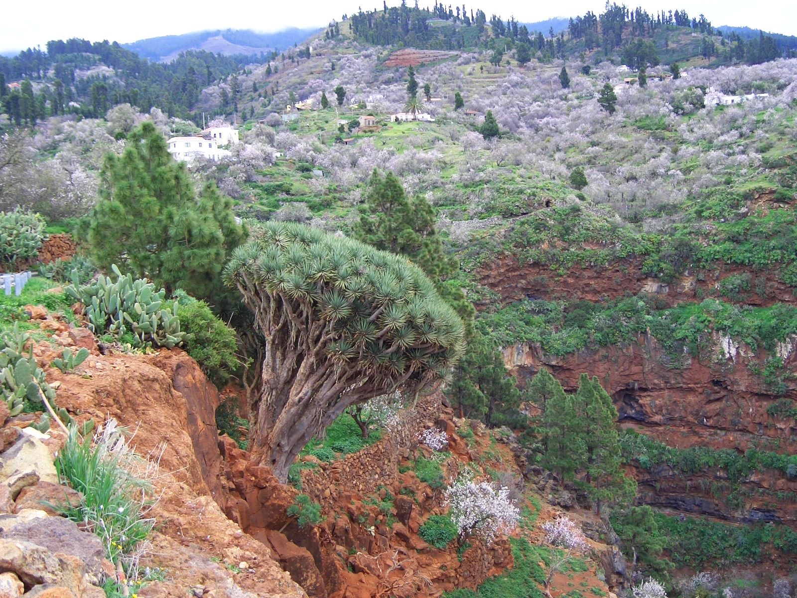 Descarga gratis la imagen Paisaje, Tierra/naturaleza en el escritorio de tu PC