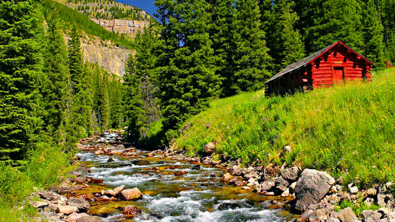 cabin, stream, river, wood, man made, creek