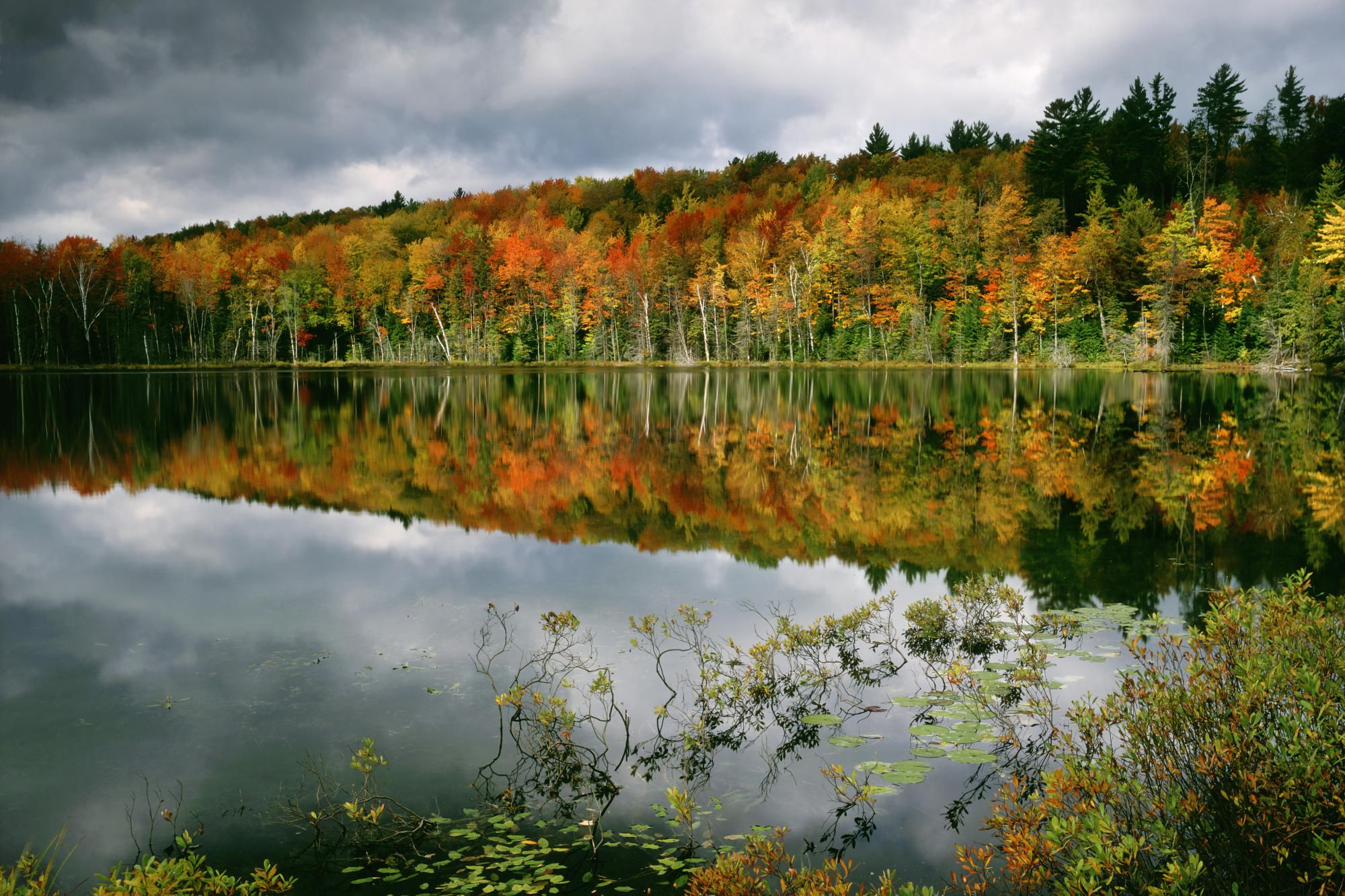 Скачать картинку Осень, Отражение, Лес, Дерево, Земля/природа в телефон бесплатно.