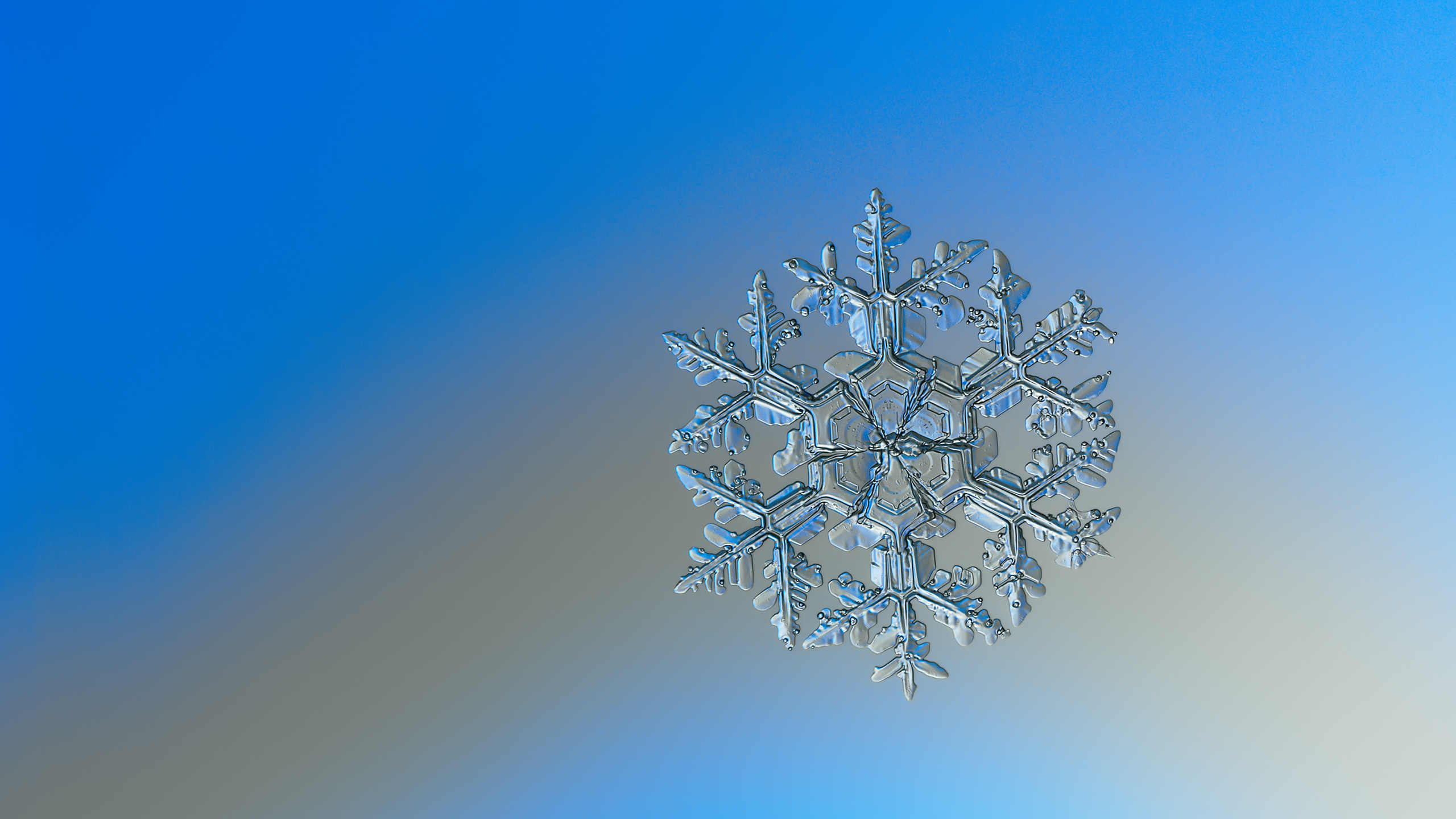 Laden Sie das Makro, Schneeflocke, Erde/natur-Bild kostenlos auf Ihren PC-Desktop herunter