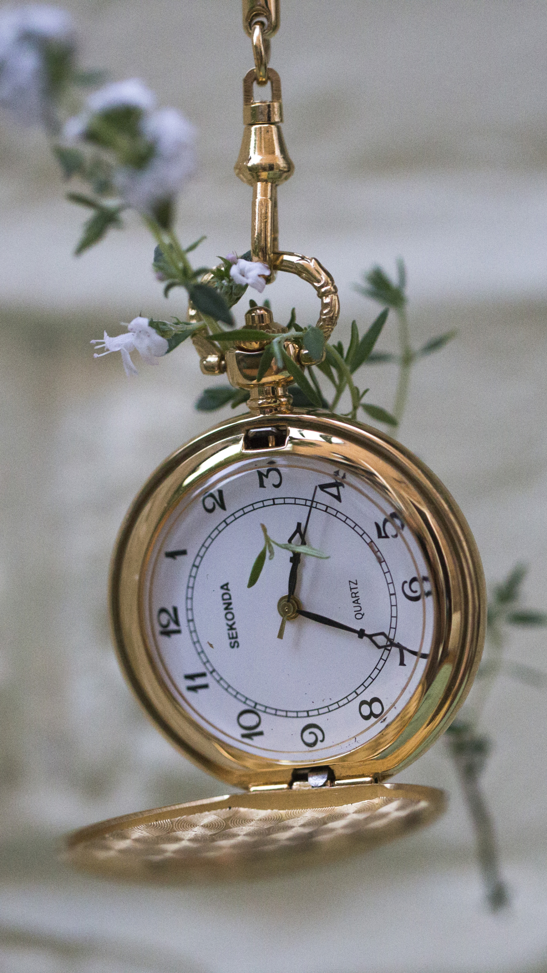  Pocket Watch HD Android Wallpapers