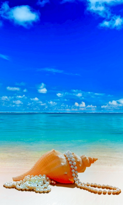 Download mobile wallpaper Nature, Sky, Beach, Summer, Horizon, Tropical, Cloud, Pearl, Shell, Photography for free.