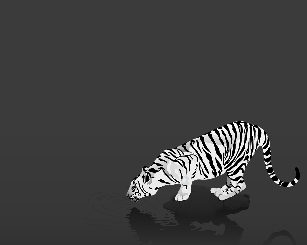 Free download wallpaper Tiger, Animal on your PC desktop