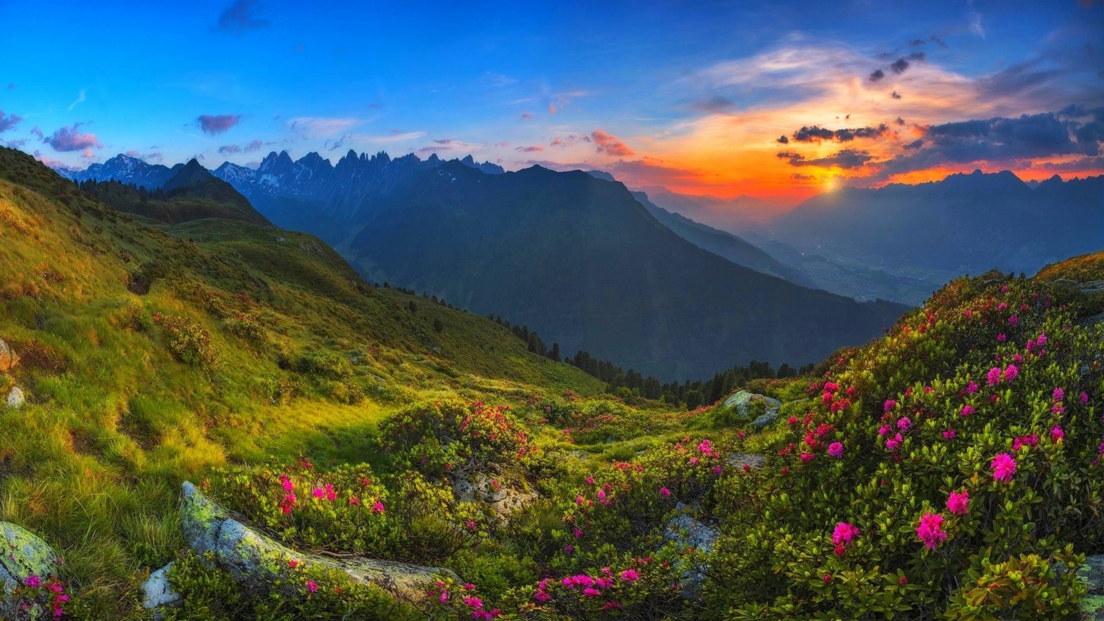Download mobile wallpaper Landscape, Sunset, Mountain, Flower, Forest, Earth, Spring for free.