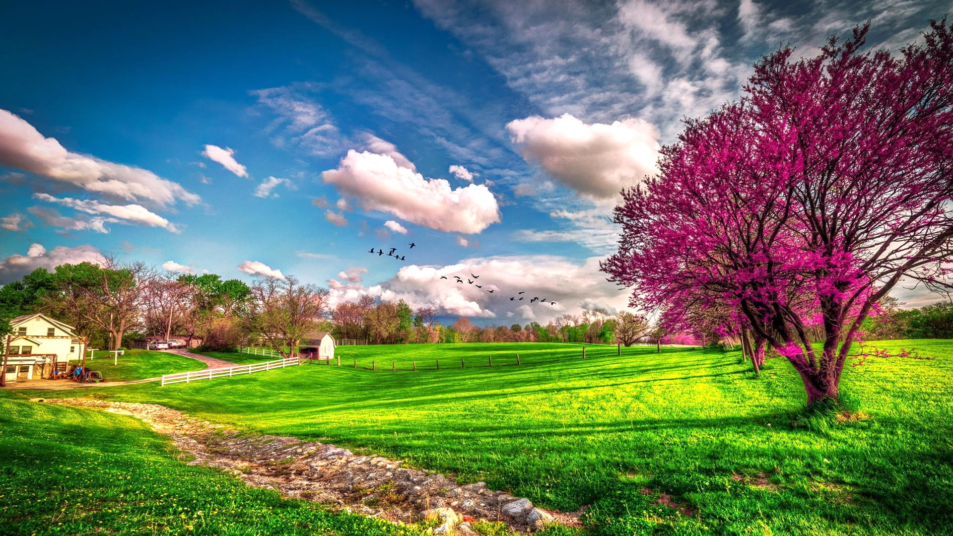 Download mobile wallpaper Landscape, Grass, Tree, House, Earth, Field, Spring, Photography, Blossom for free.
