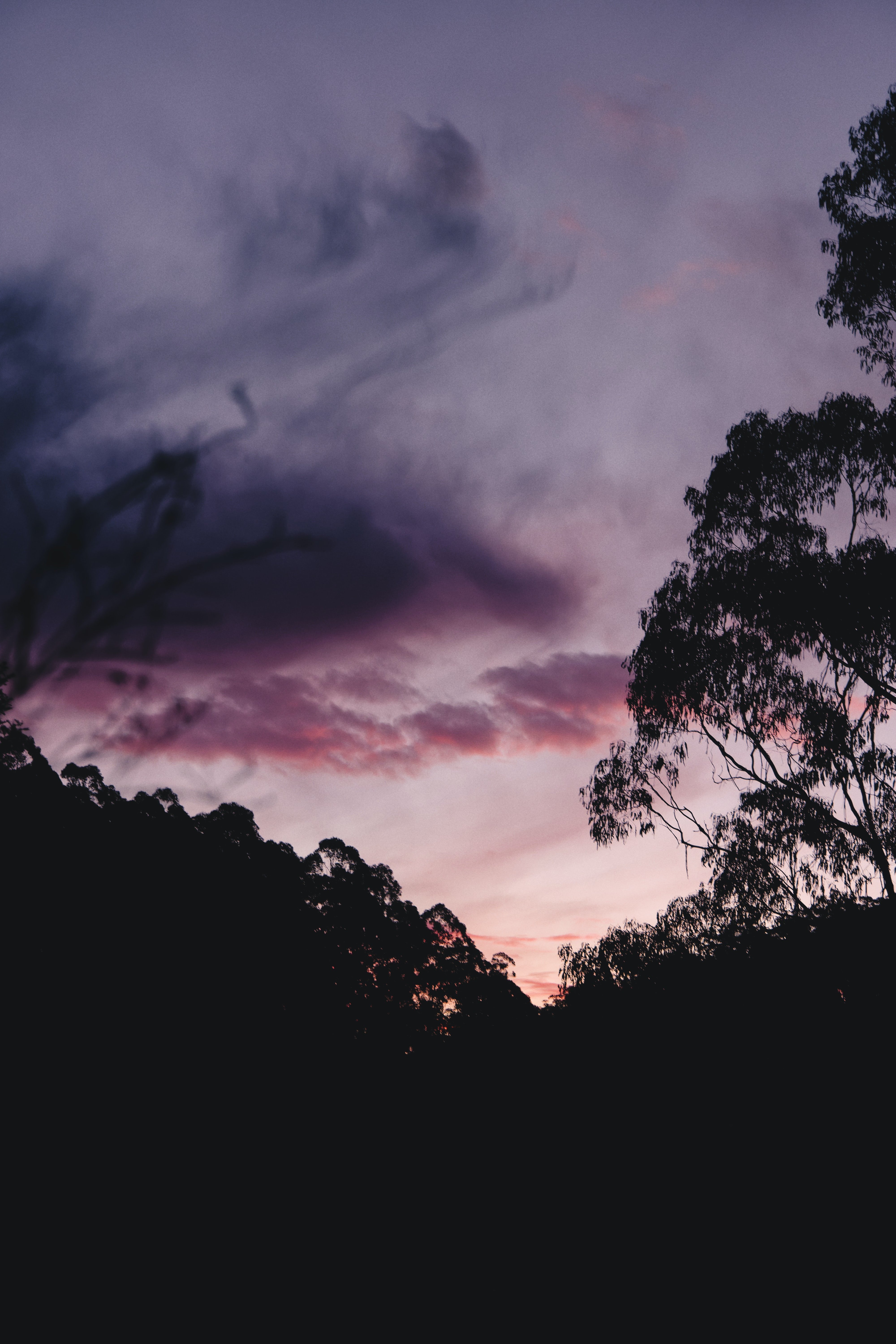 Free download wallpaper Trees, Sunset, Bush, Silhouette, Sky, Dark on your PC desktop