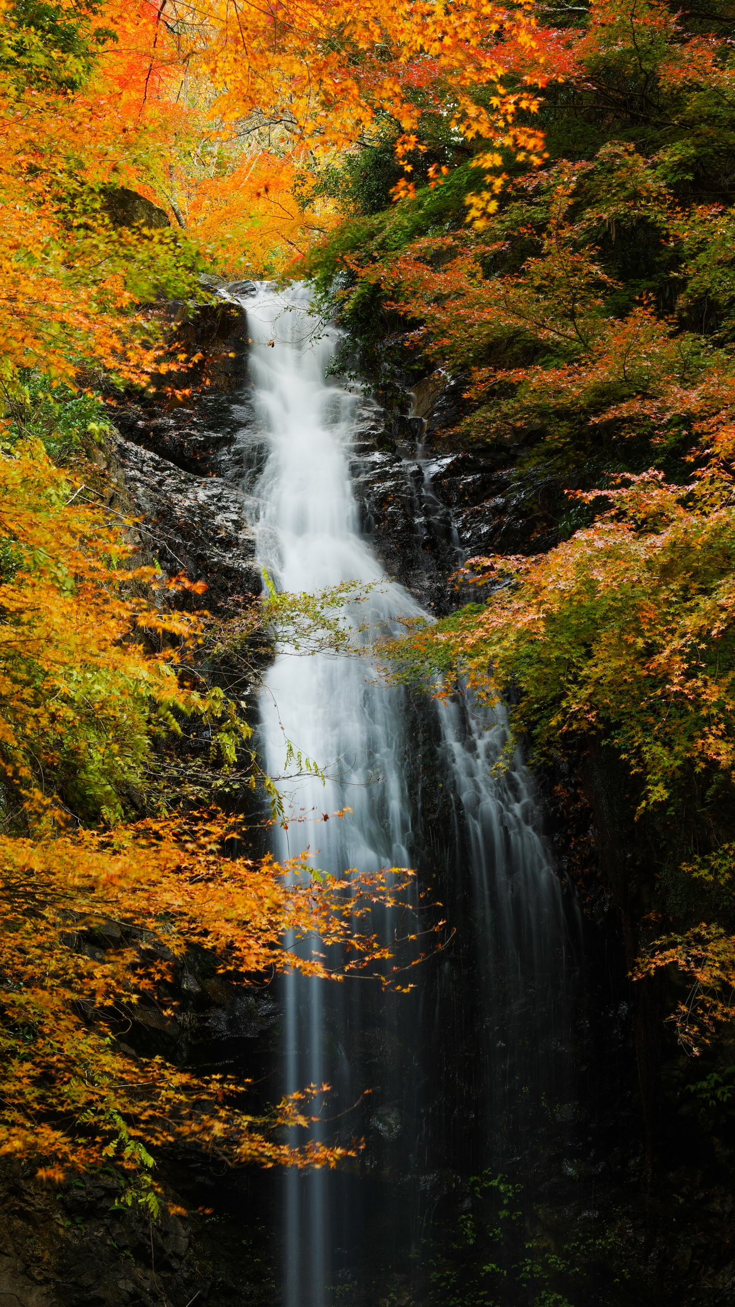 無料モバイル壁紙自然, 秋, 滝, 地球をダウンロードします。