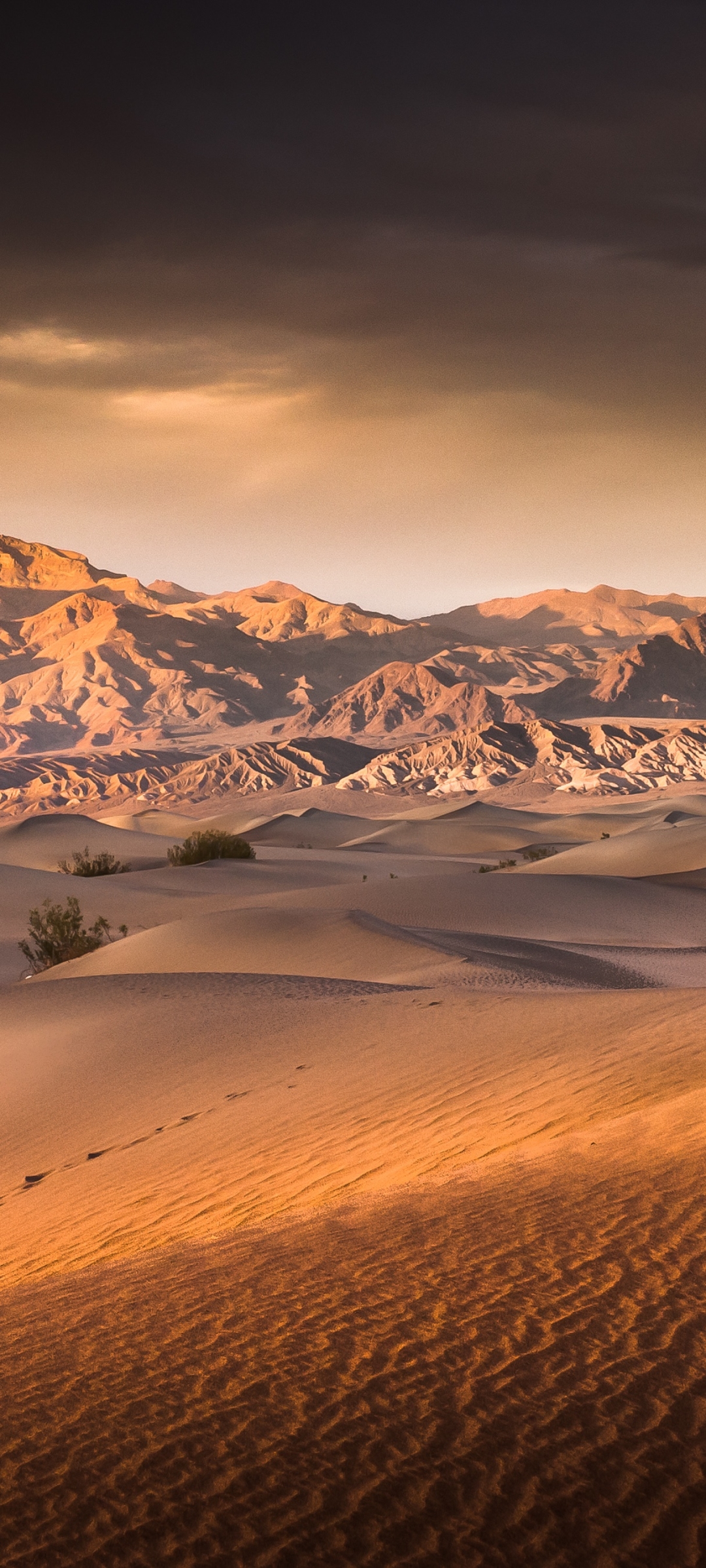 Скачати мобільні шпалери Пейзаж, Природа, Пісок, Пустеля, Земля, Дюна безкоштовно.