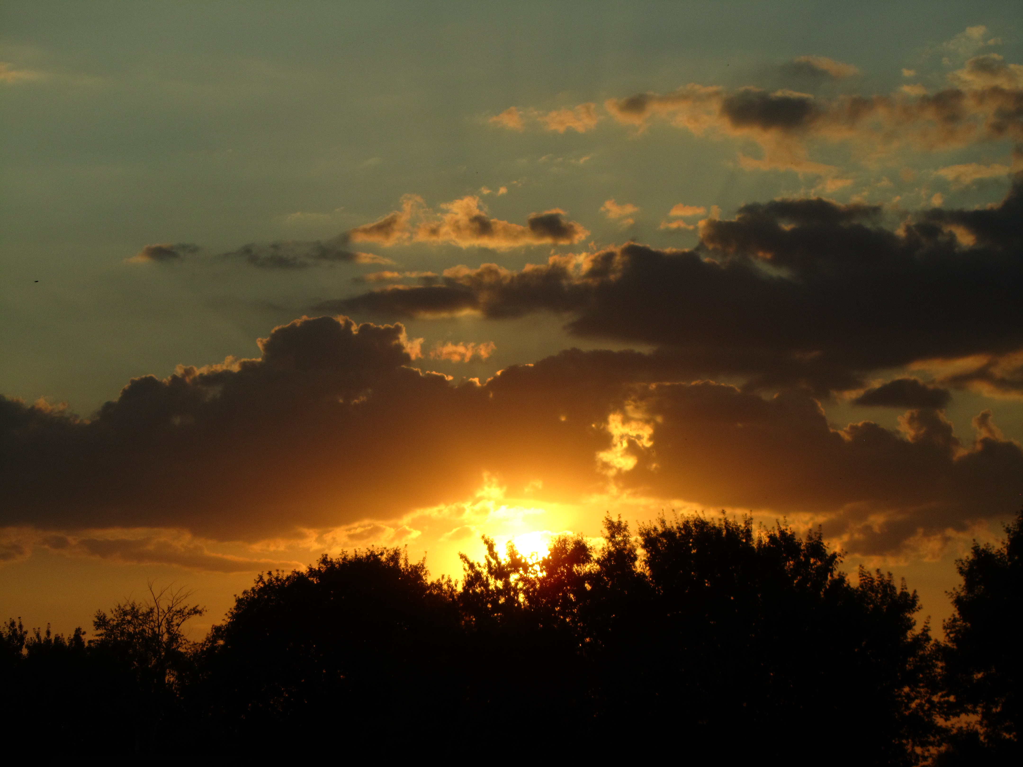 Laden Sie das Sonnenuntergang, Erde/natur-Bild kostenlos auf Ihren PC-Desktop herunter