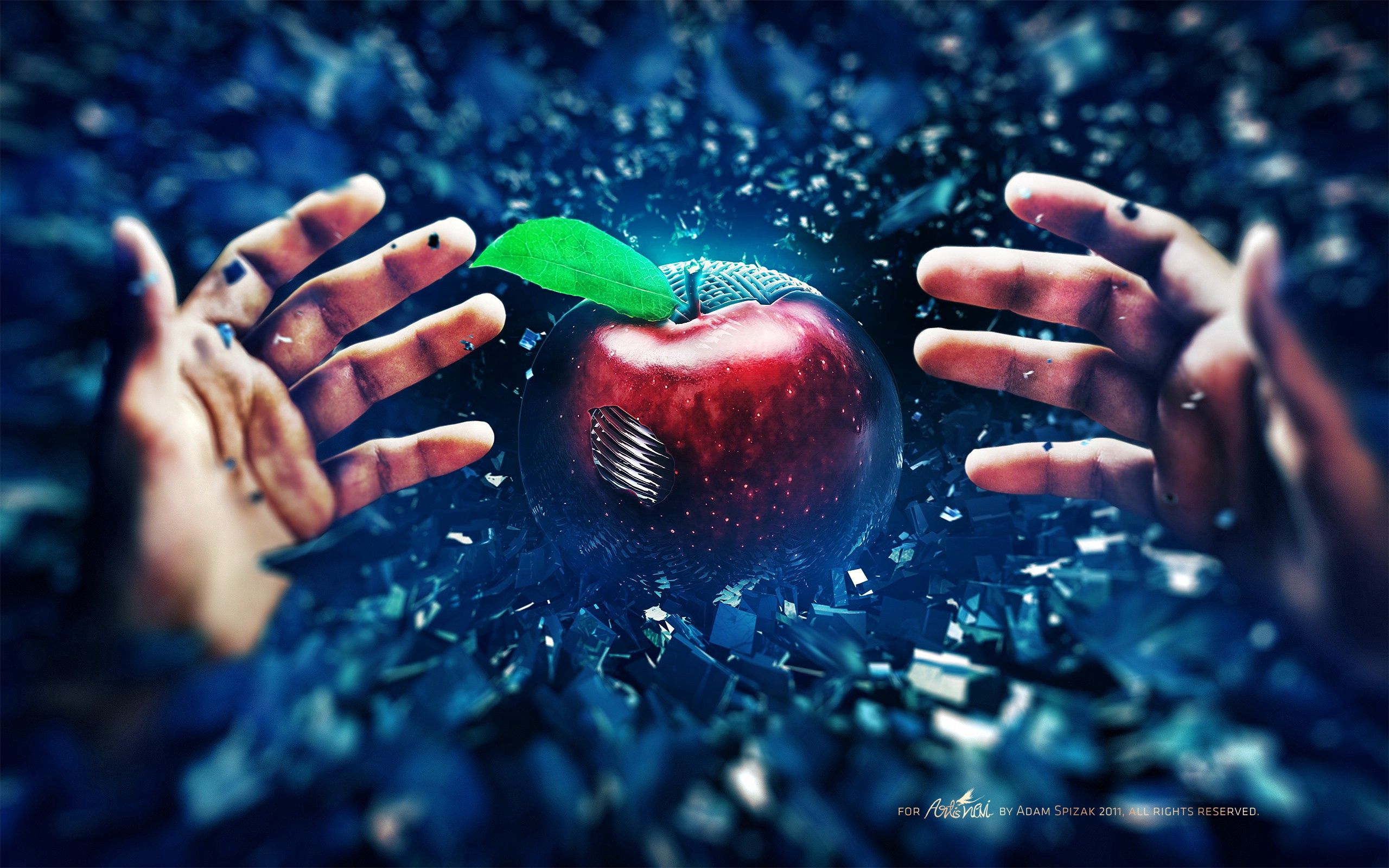 Free HD apple, abstract, background, hands, fight, skirmish