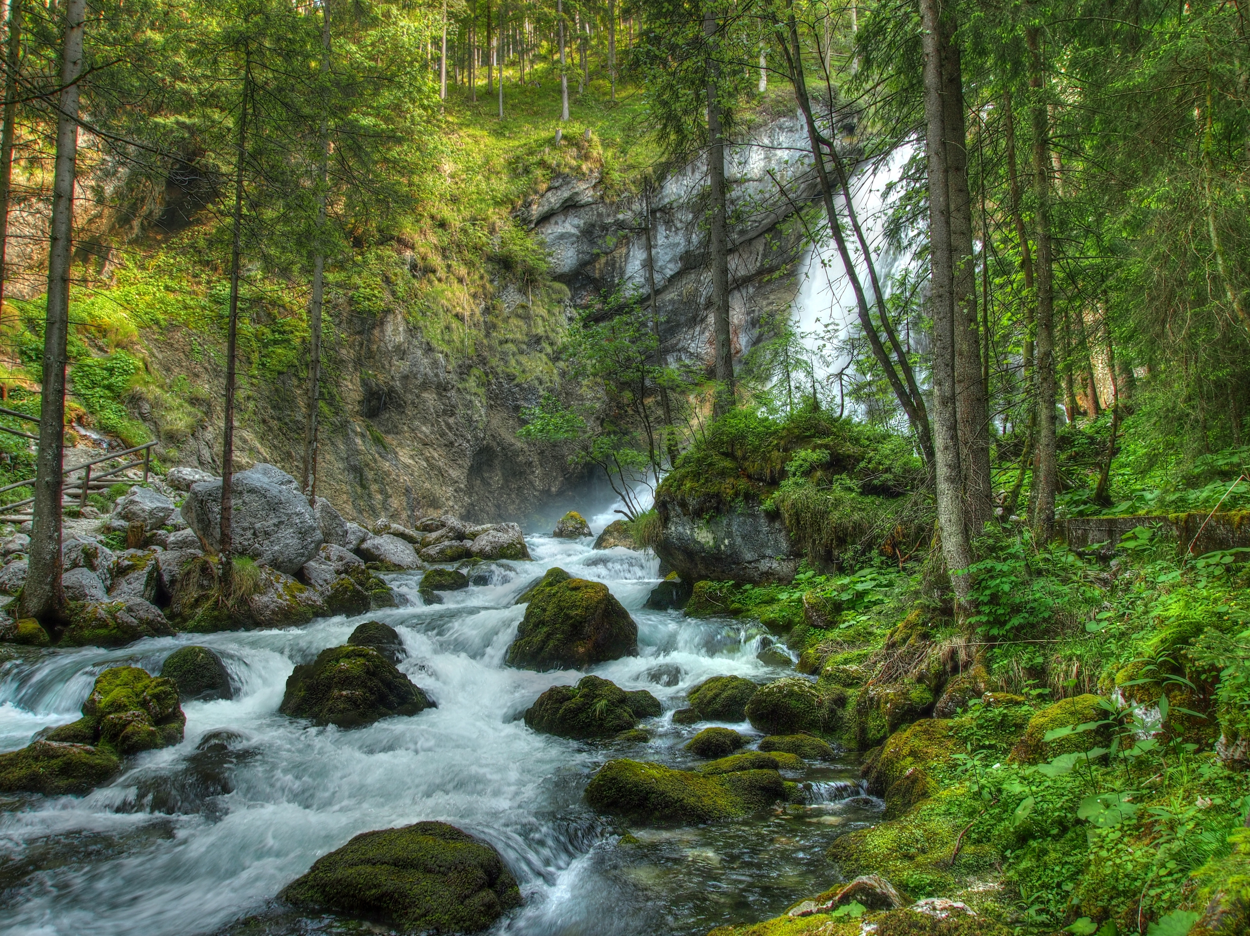 PCデスクトップに自然, 森, 森林, 川, ストーンズ, 滝, 風景画像を無料でダウンロード