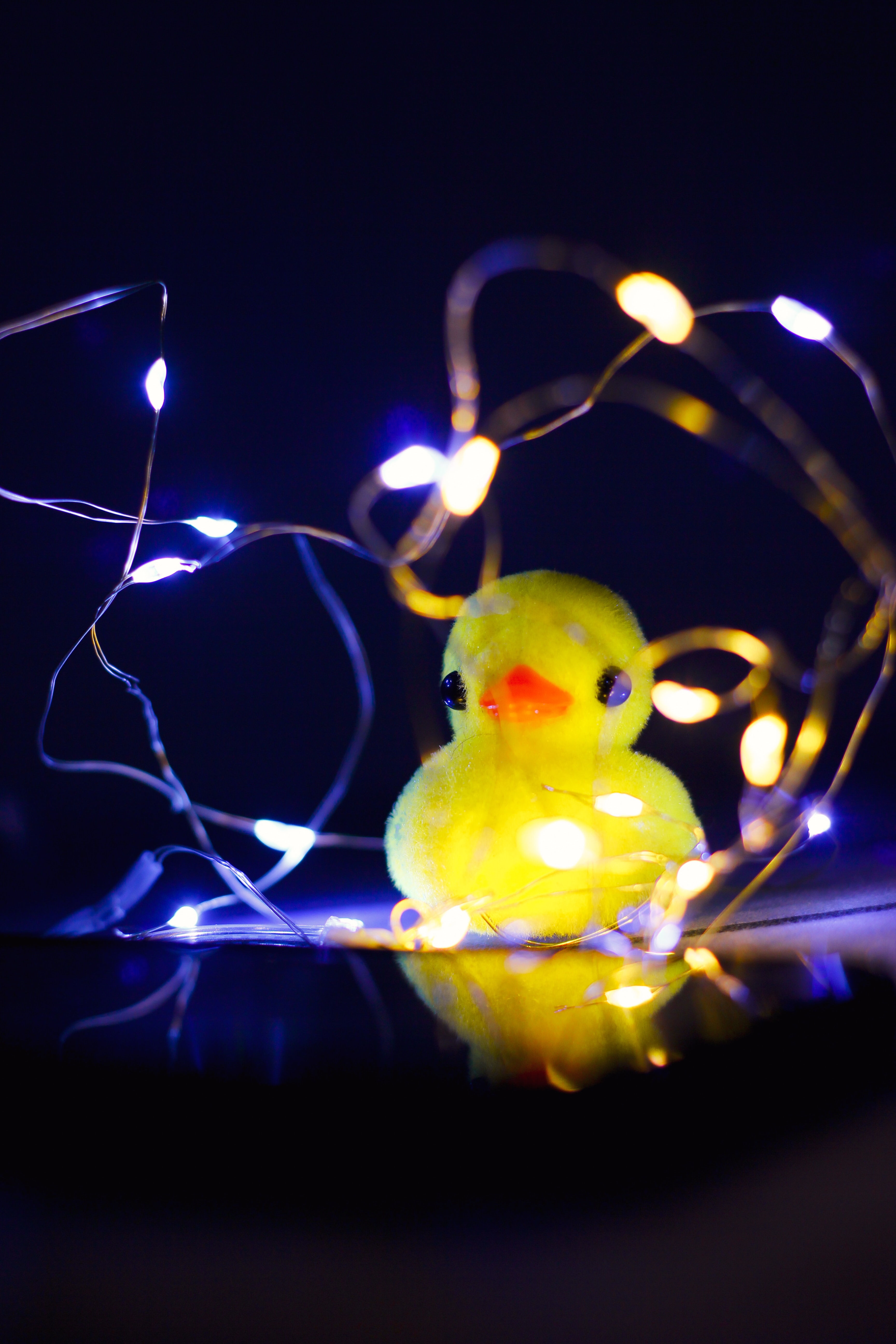 Download mobile wallpaper Miscellaneous, Miscellanea, Garland, Light, Shine, Toy, Duck for free.