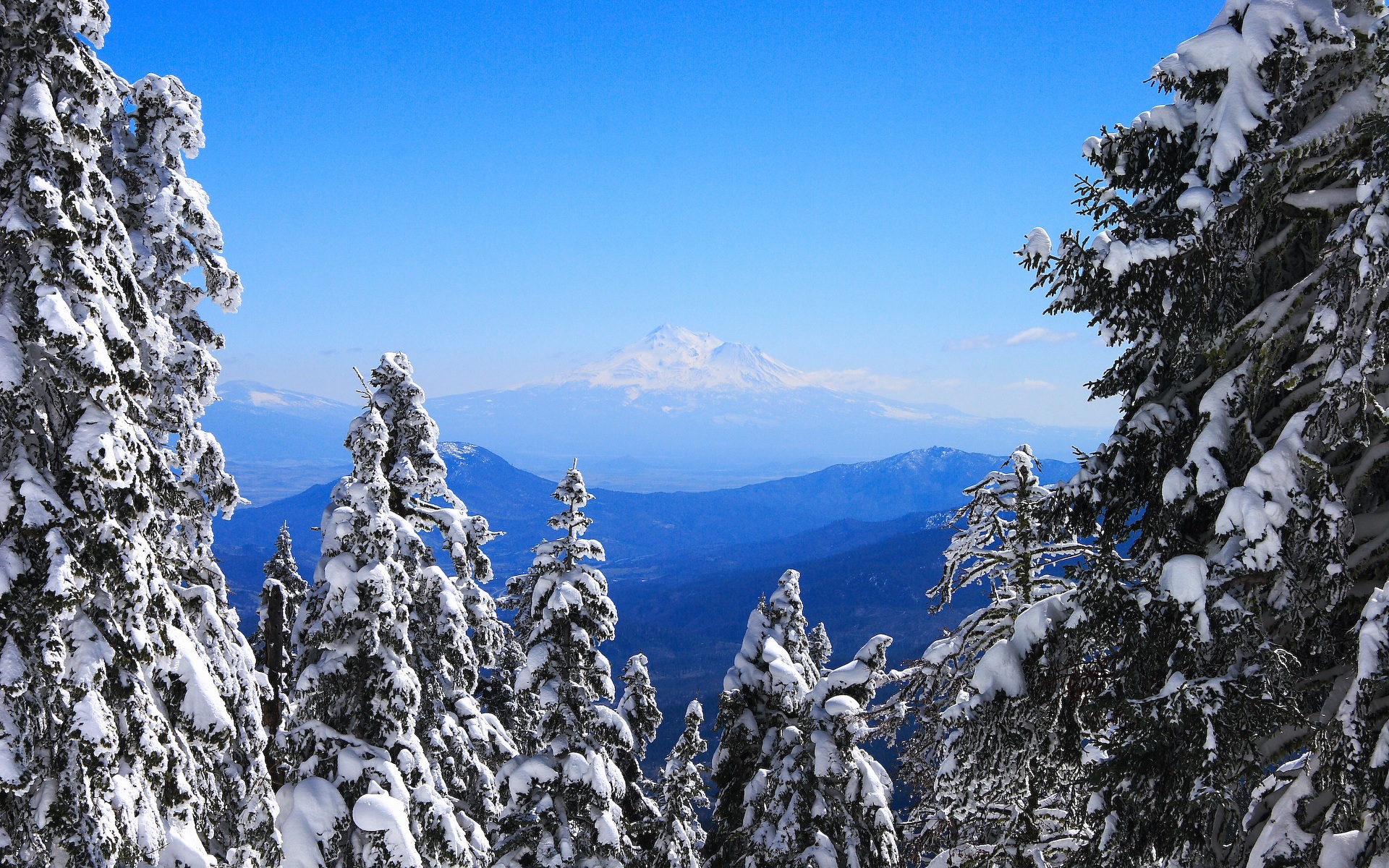 Baixe gratuitamente a imagem Inverno, Neve, Montanha, Floresta, Terra/natureza na área de trabalho do seu PC