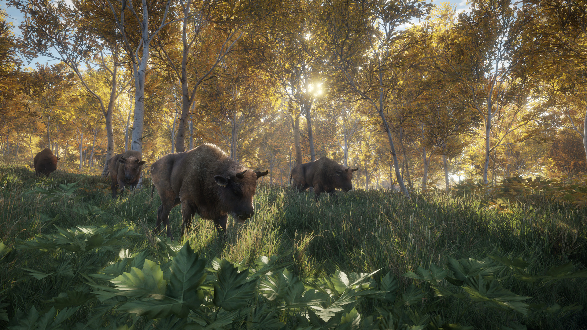 video game, thehunter: call of the wild